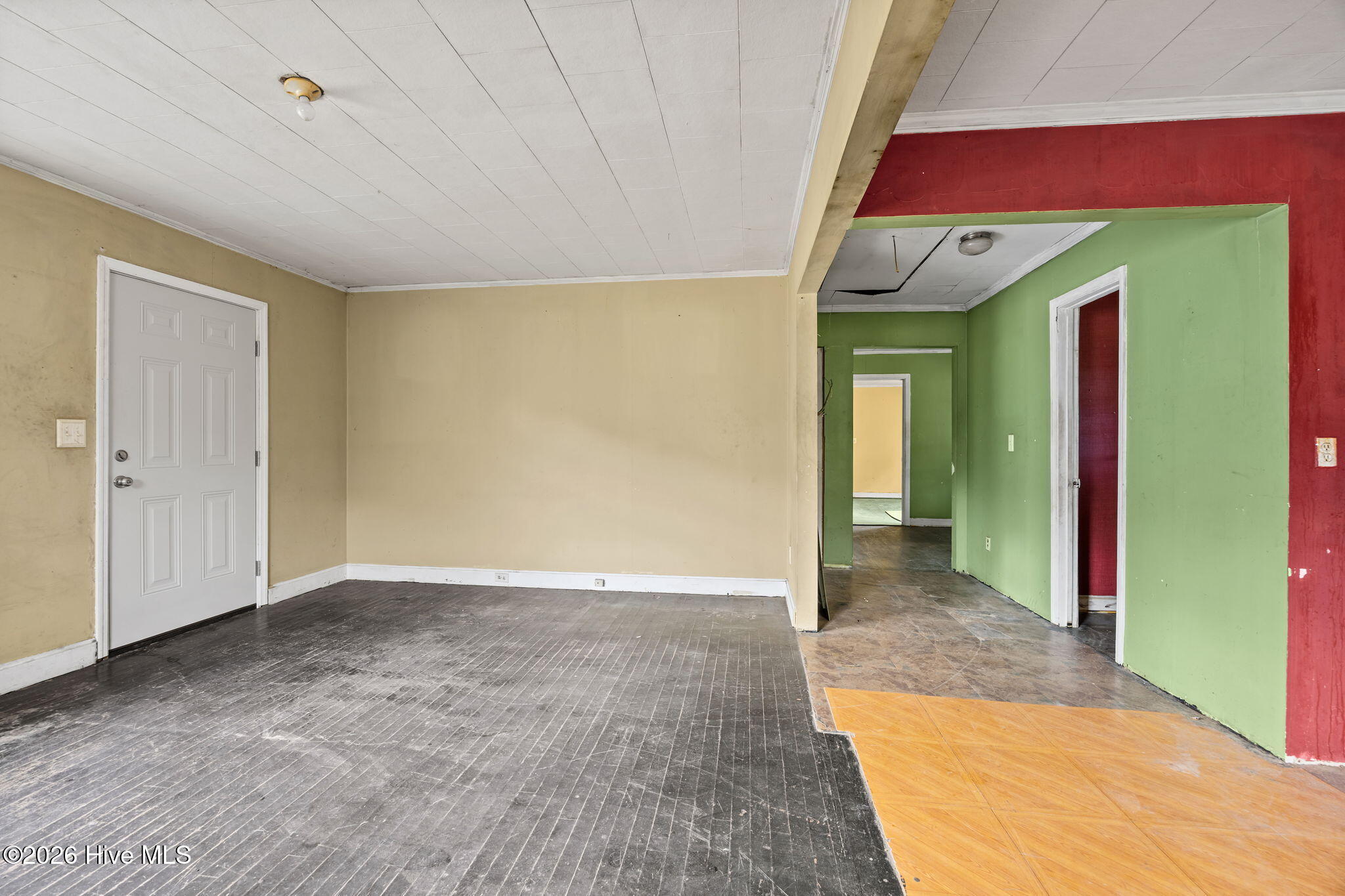 100565134 | Photo 16