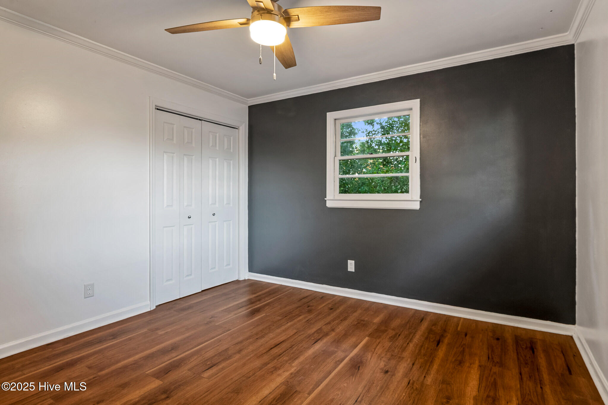 100536534 | Photo 17