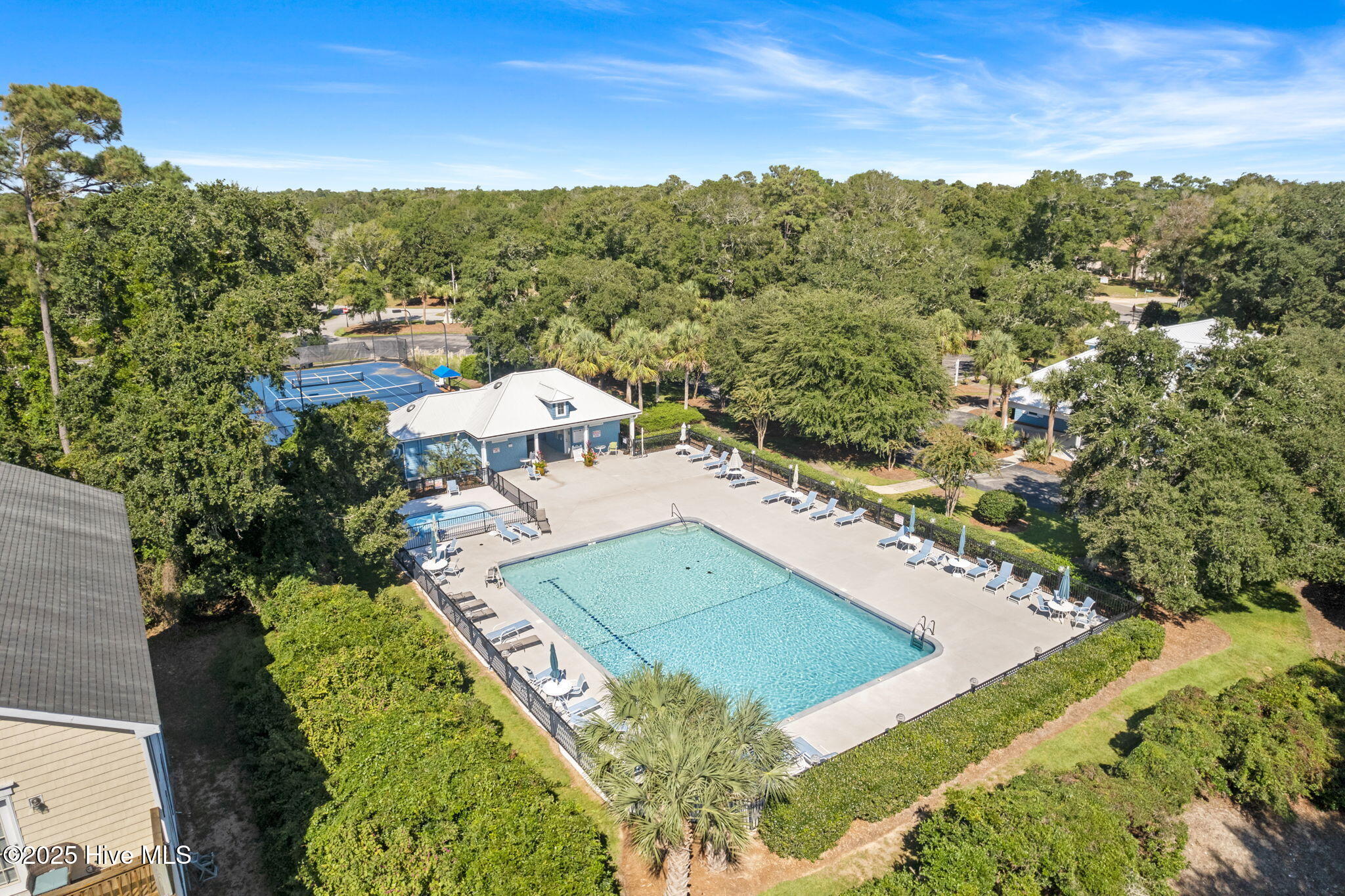 100533343 | Photo 23