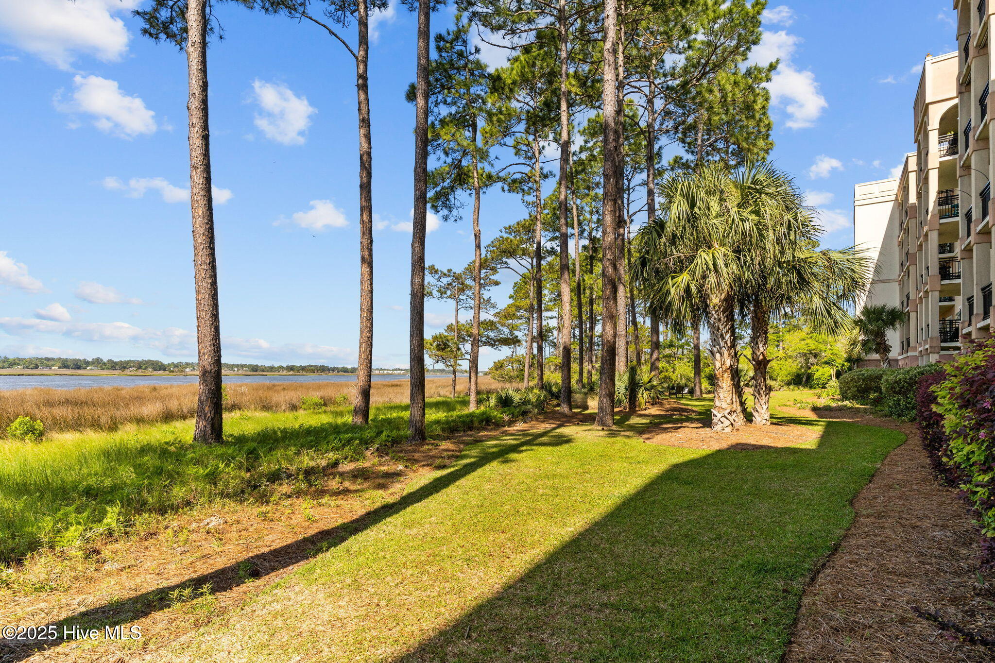 100535787 | Photo 82