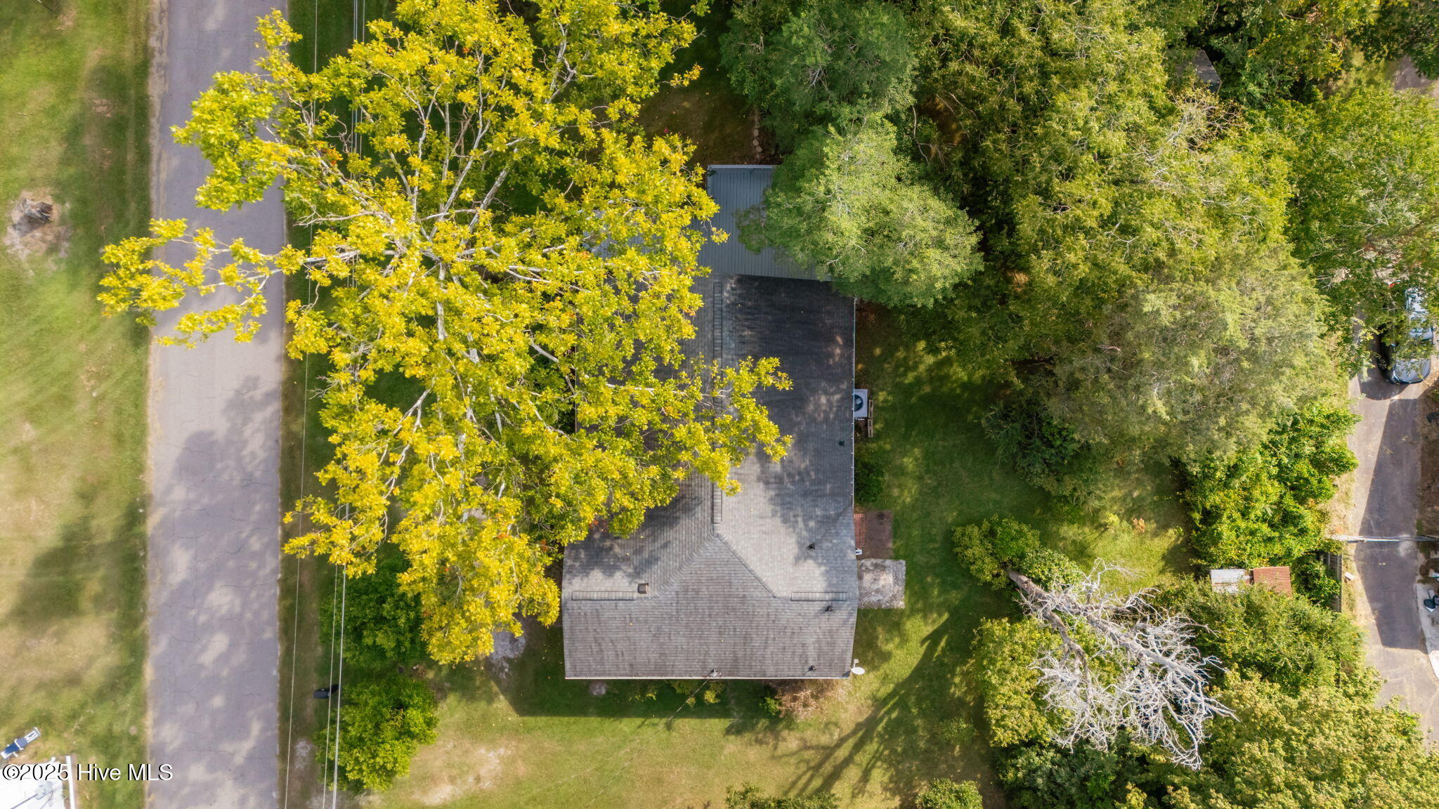 Homes for sale in Carthage, NC | 110 Bingham St, Carthage, NC 28327 | MLS# 100528134