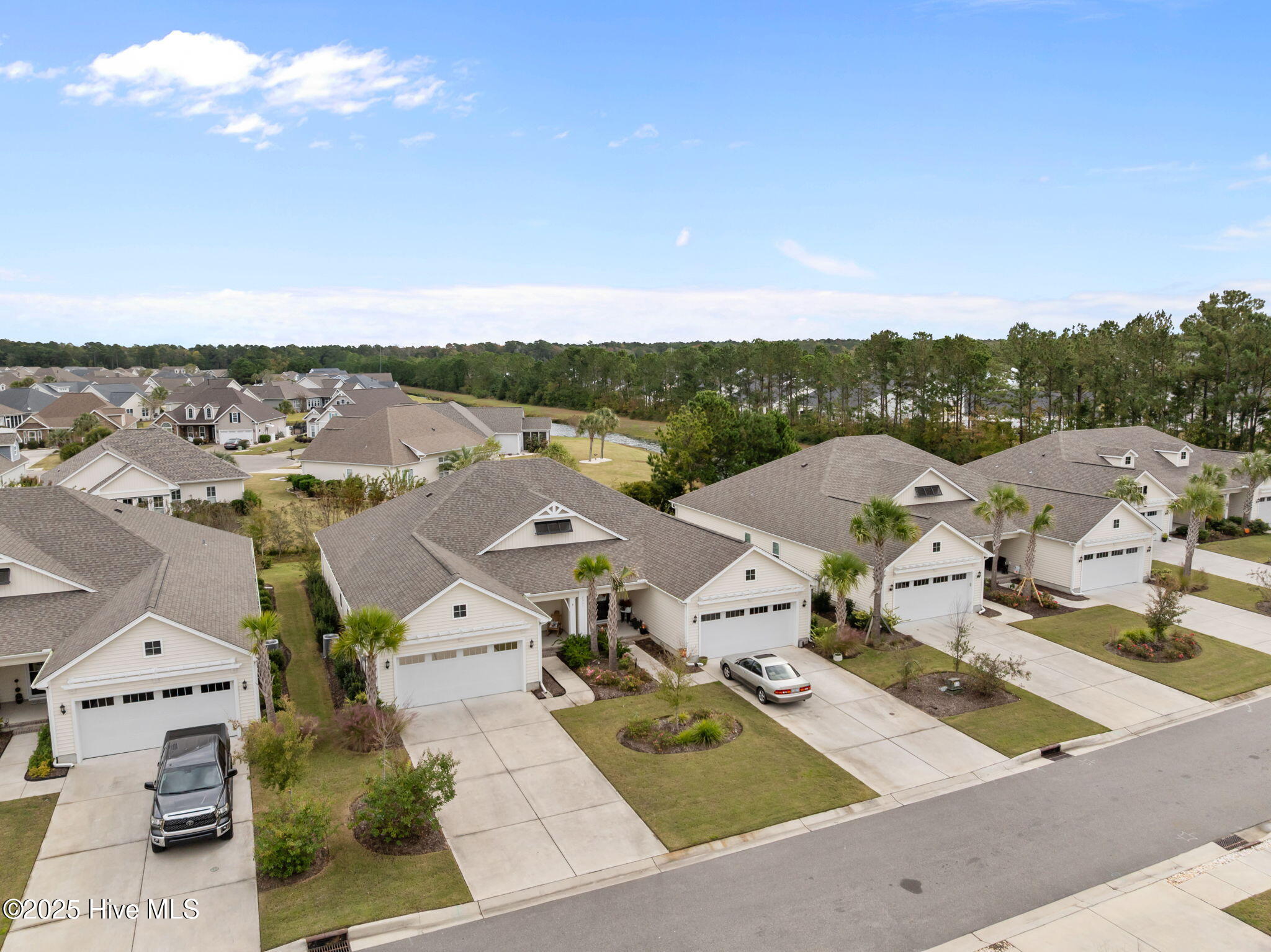 100539451 | Photo 42