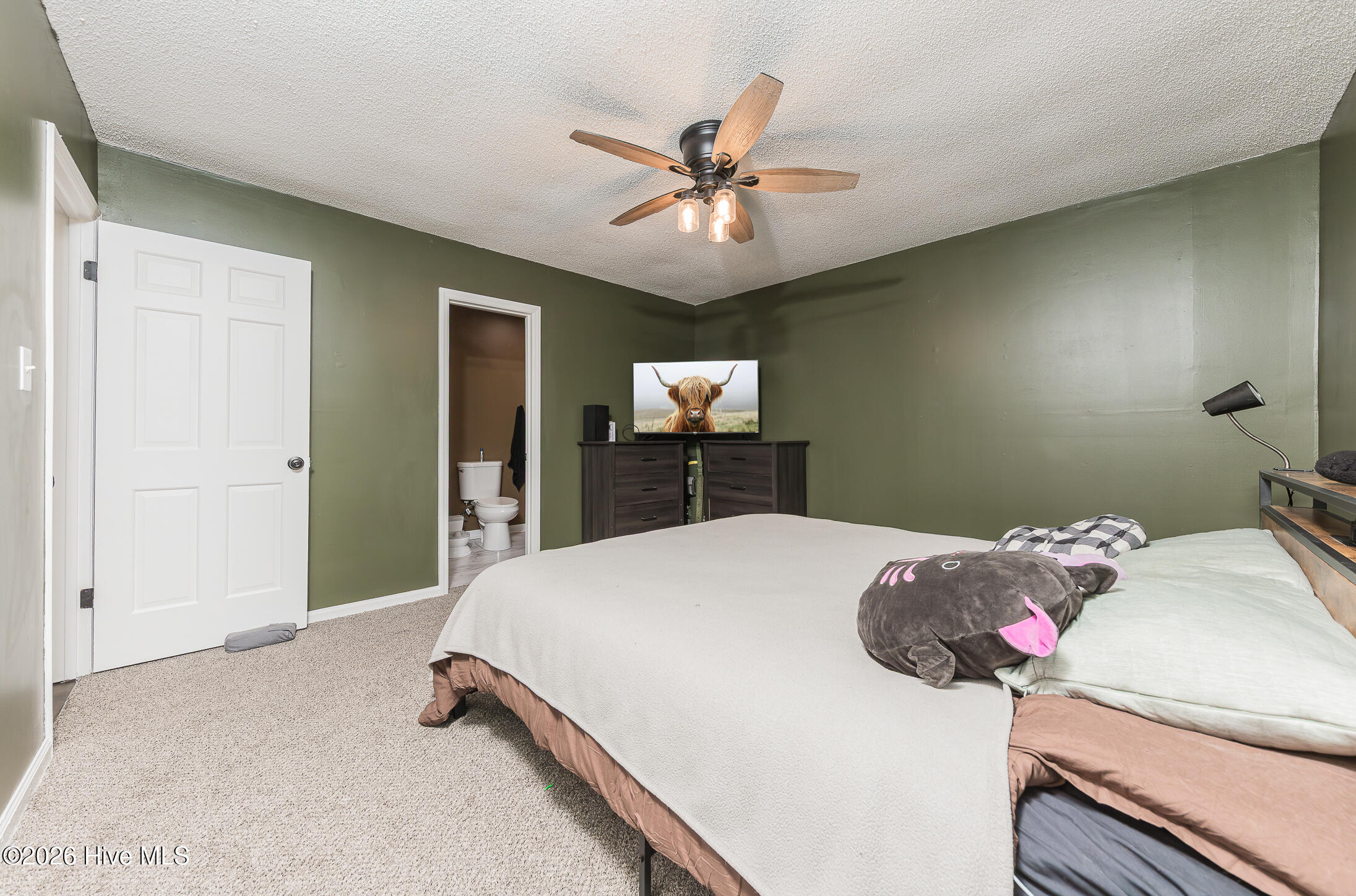 100558087 | Photo 25