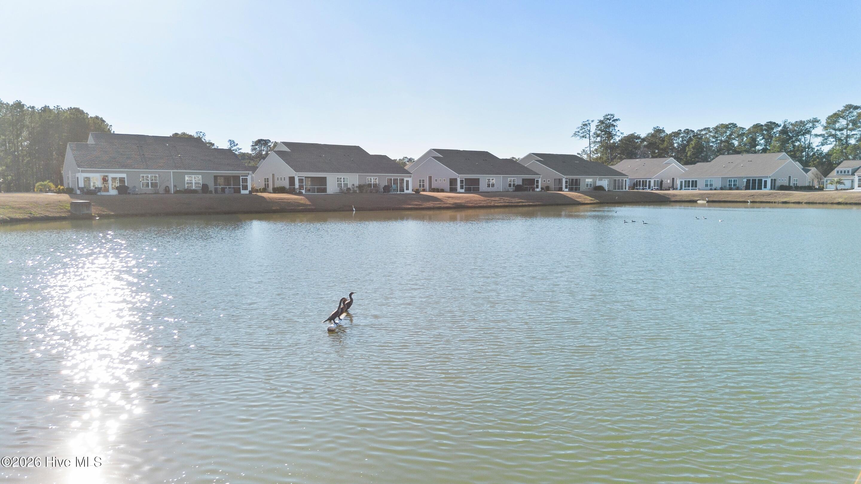 100552901 | Photo 40