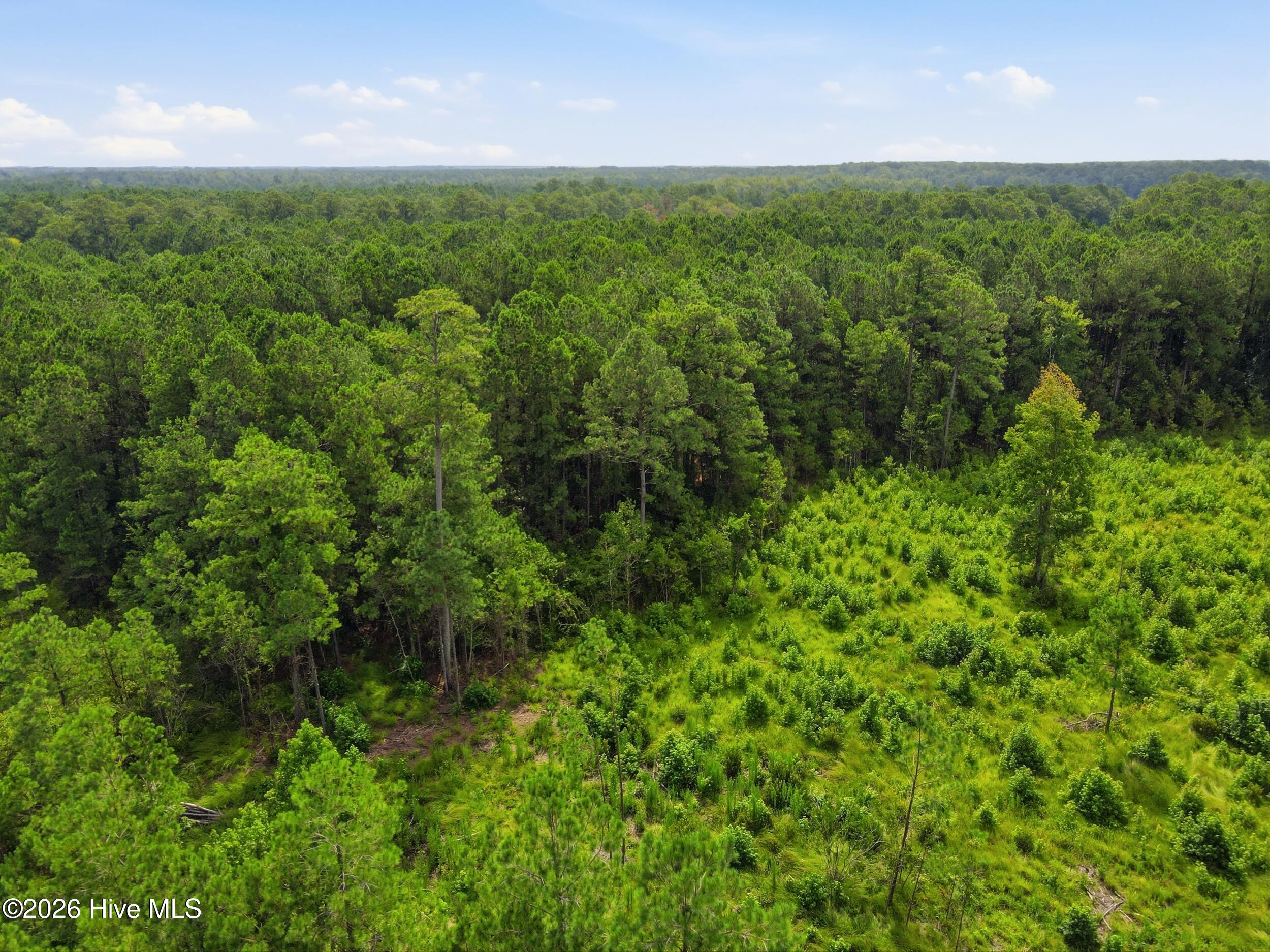 125 Merrimon Bay Drive,Beaufort