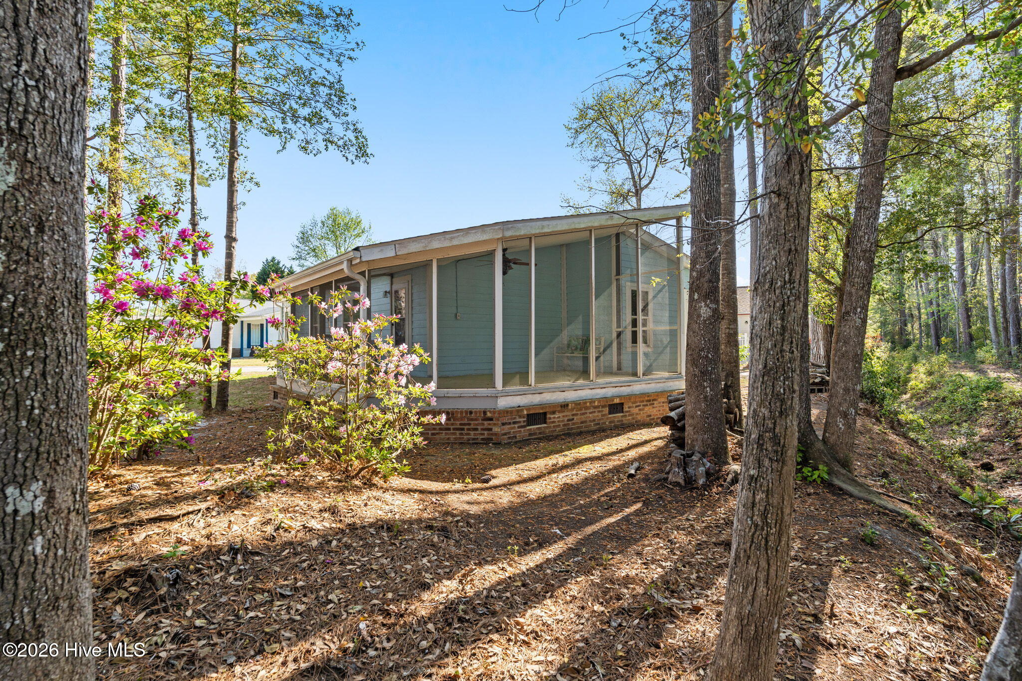 100555221 | Photo 57