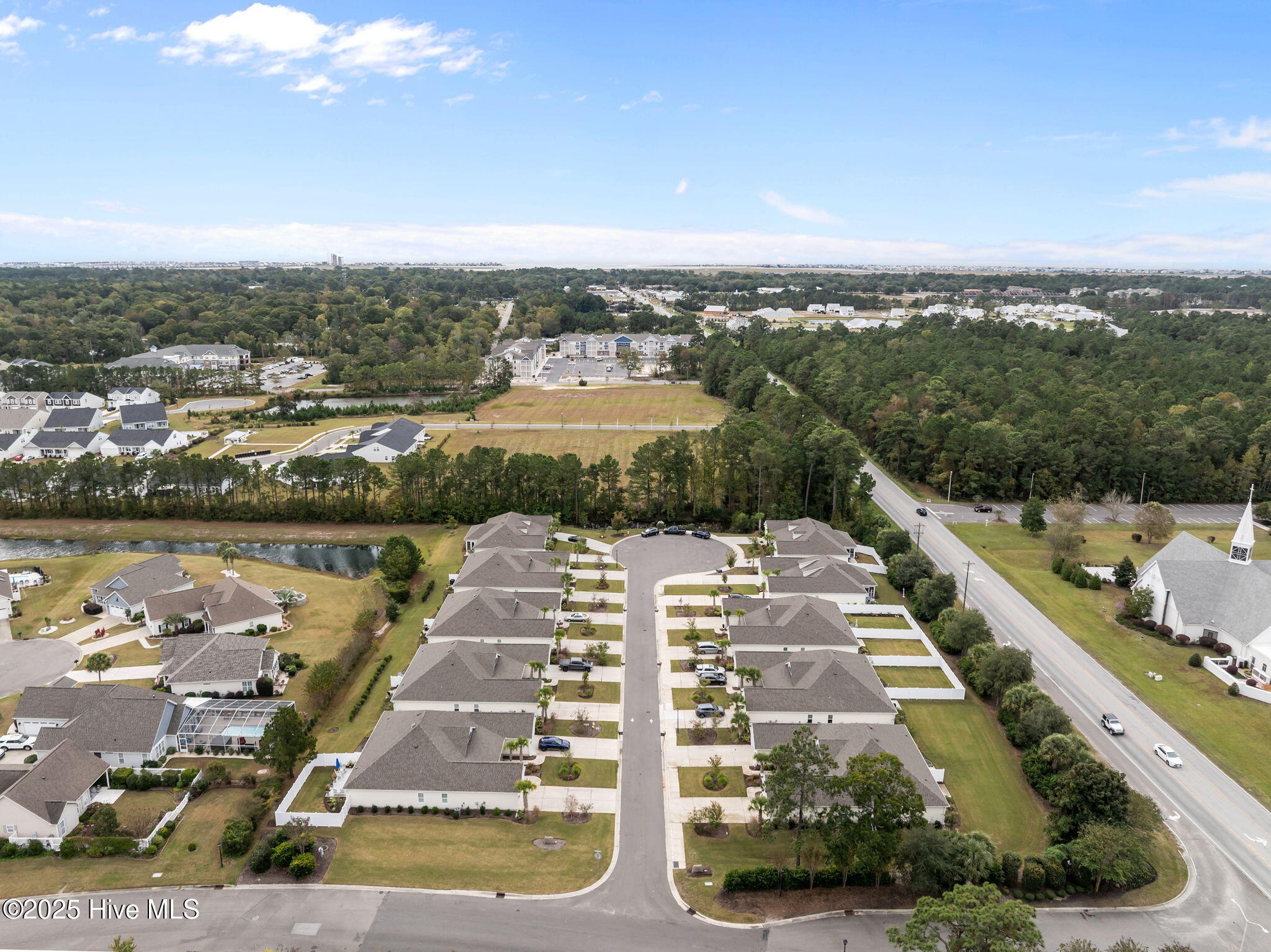 100539451 | Photo 46