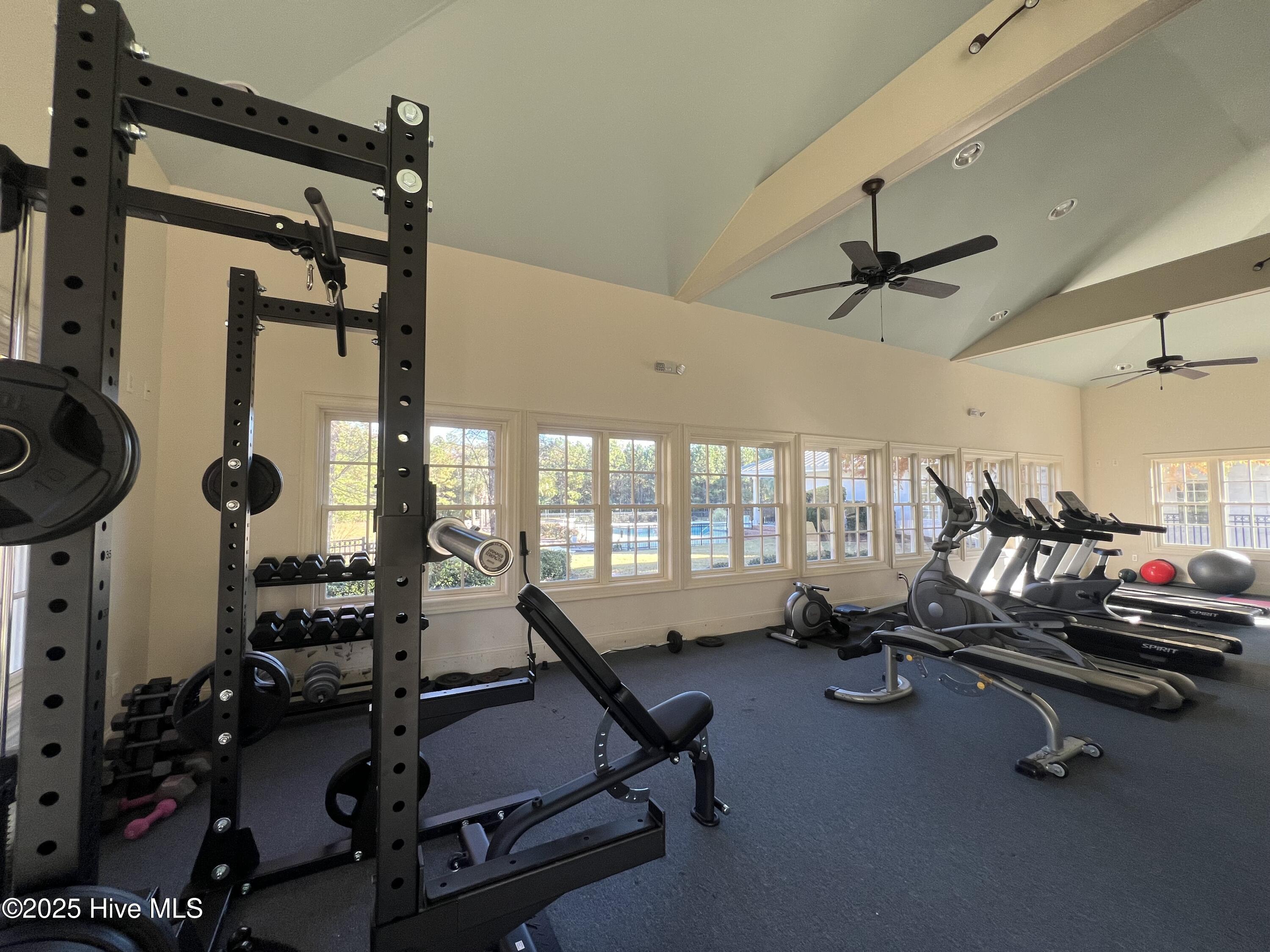 100524627 | Photo 39