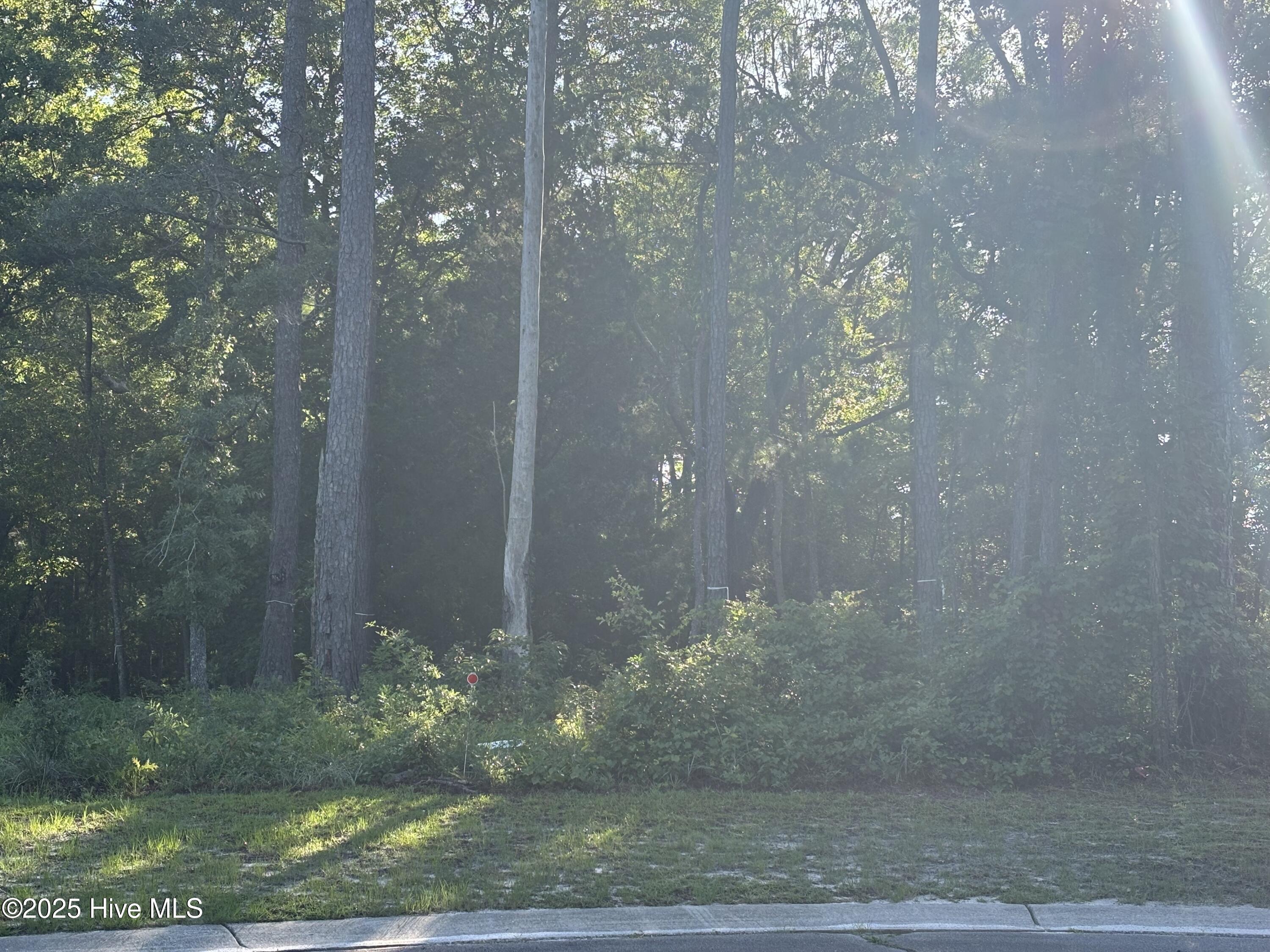 996 Ashburton Road SE, Bolivia, NC, 28422