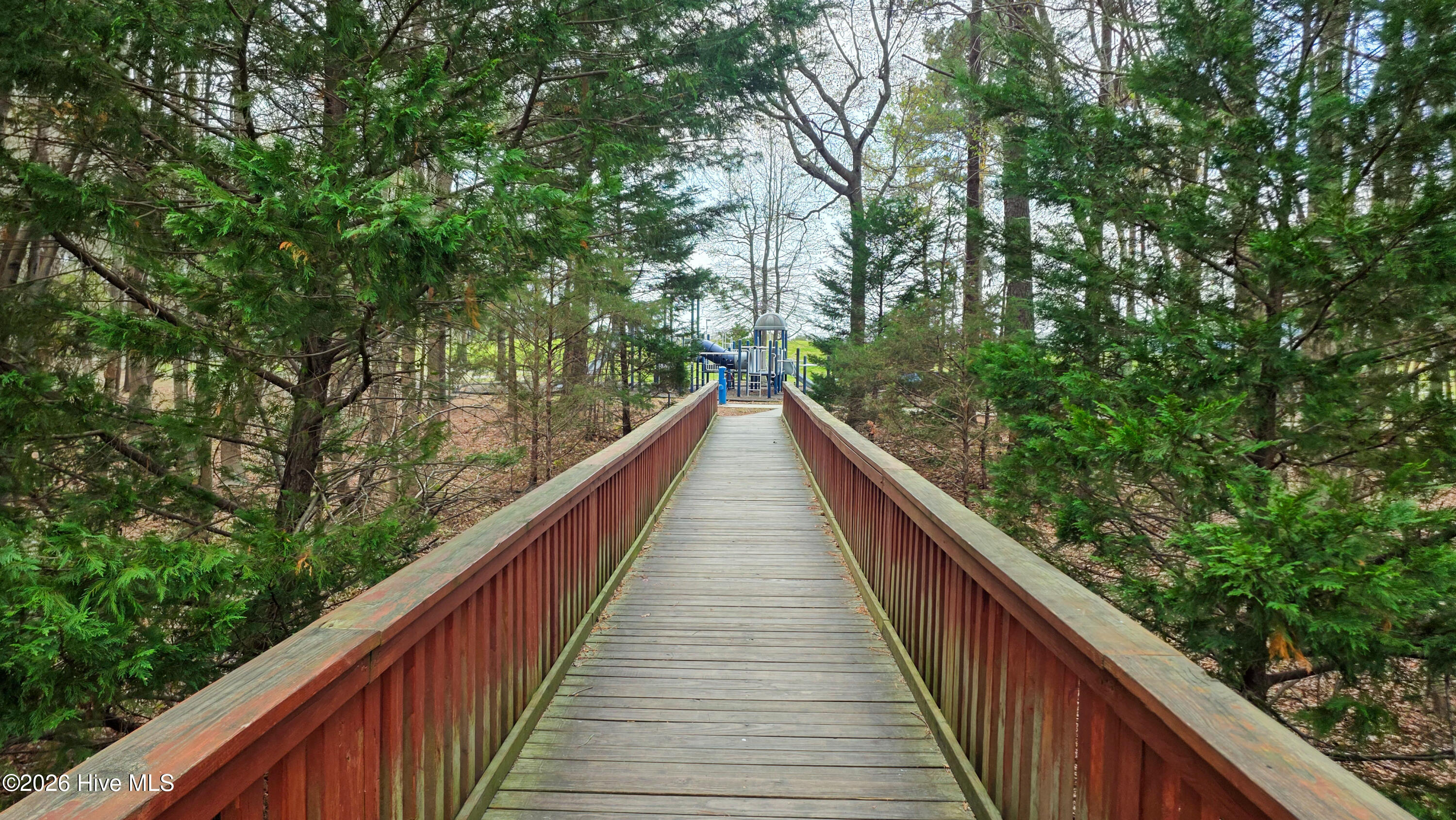 100562387 | Photo 55