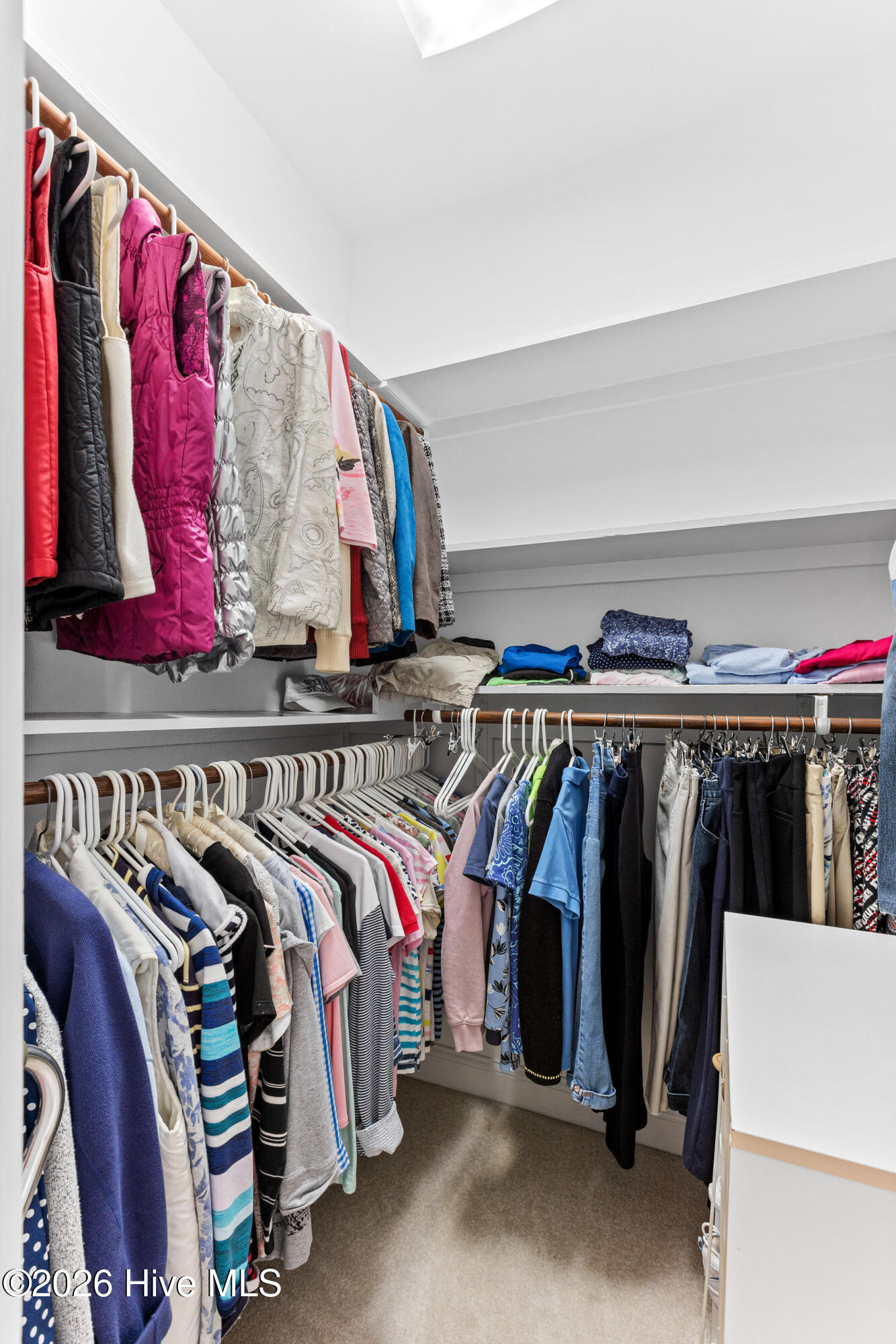 100558042 | Photo 42