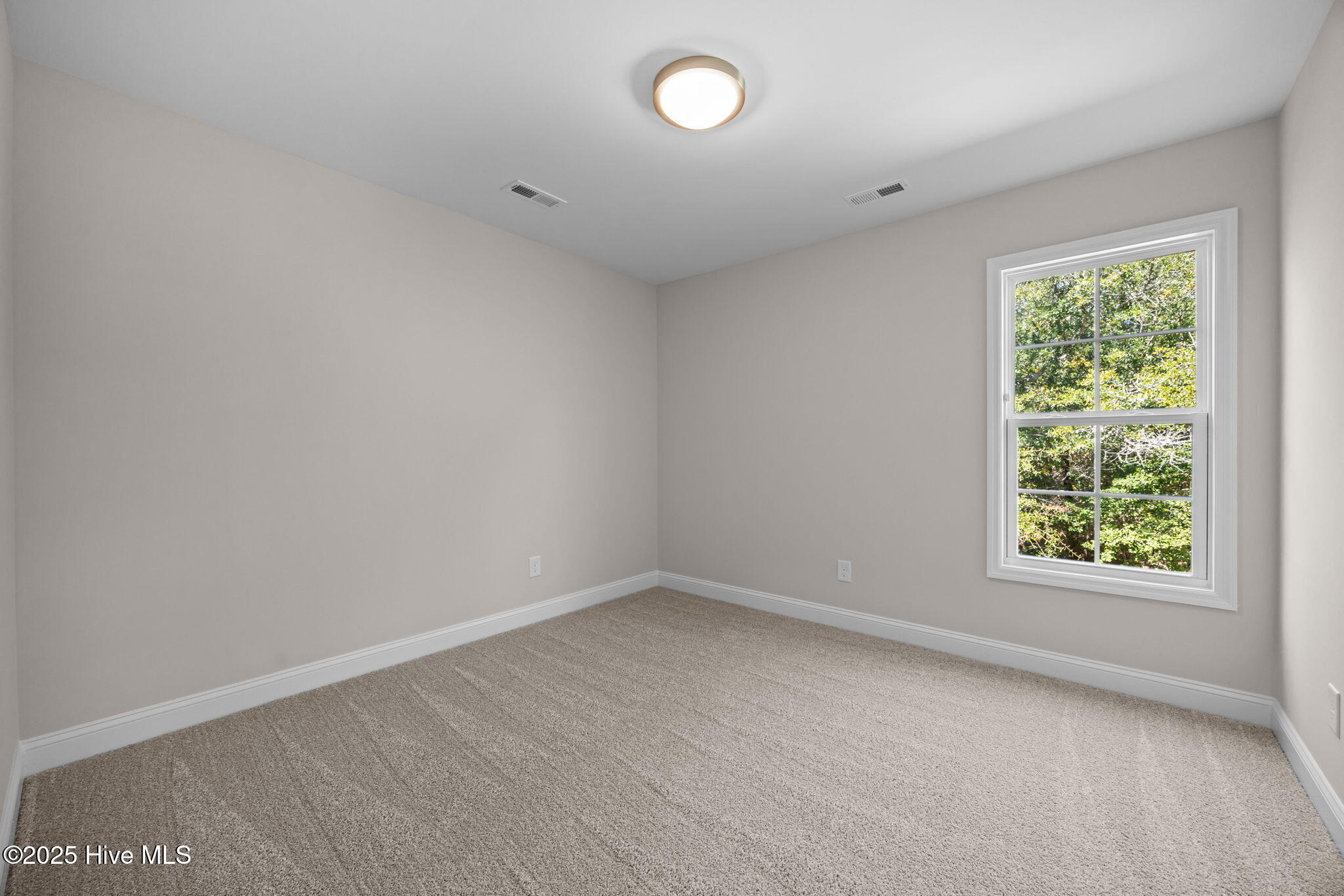 100509349 | Photo 22