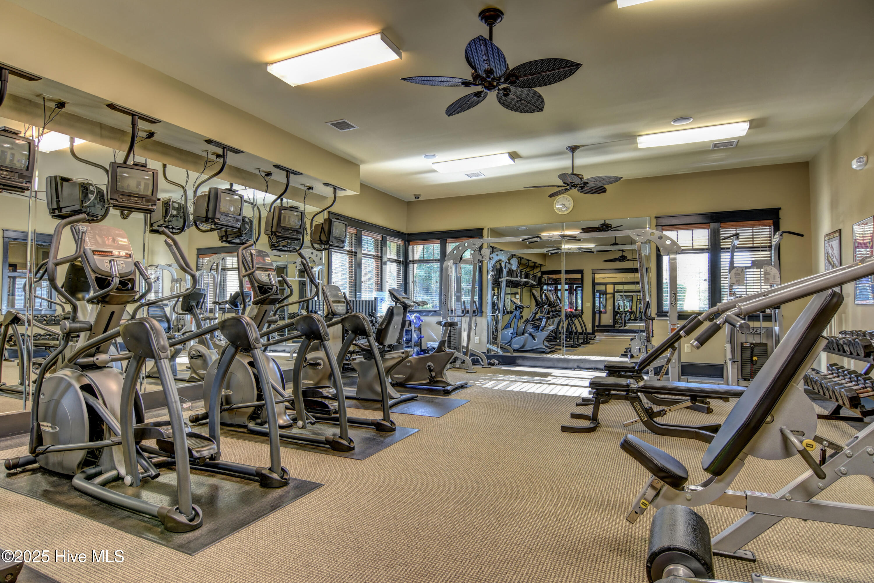 100510671 | Photo 34