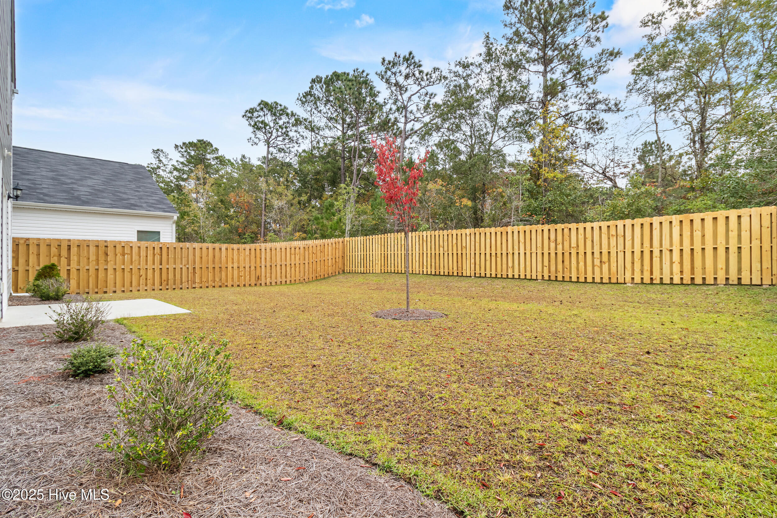 100538946 | Photo 46