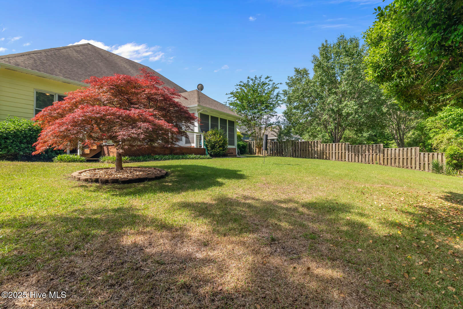 100544064 | Photo 45