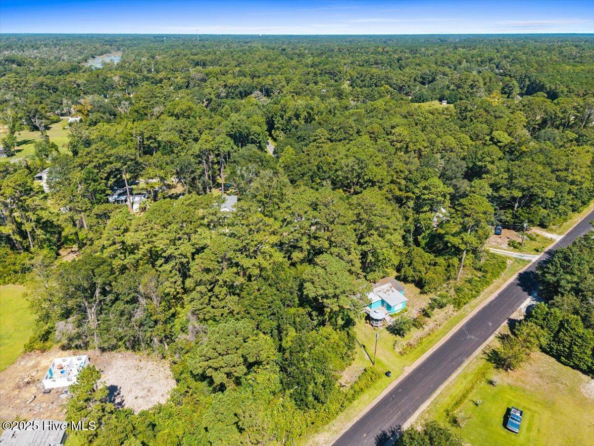 100538571 | Photo 17