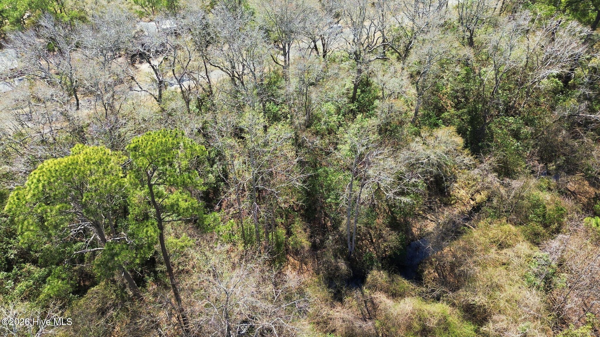 100560126 | Photo 25