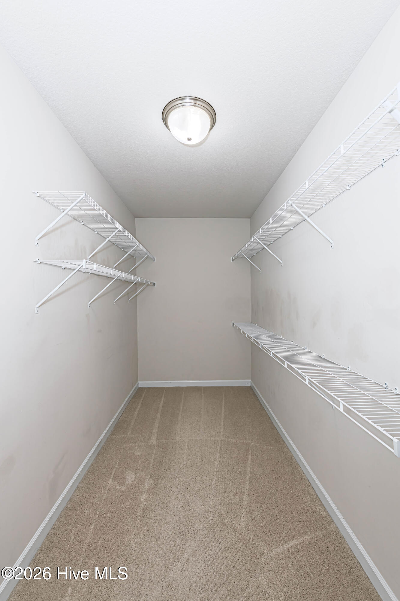 100567221 | Photo 23