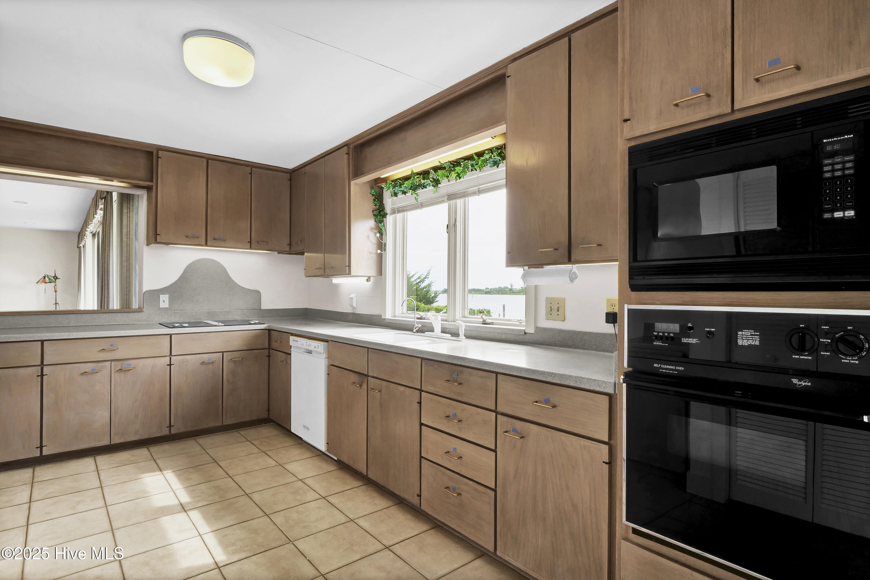 100527389 | Photo 15