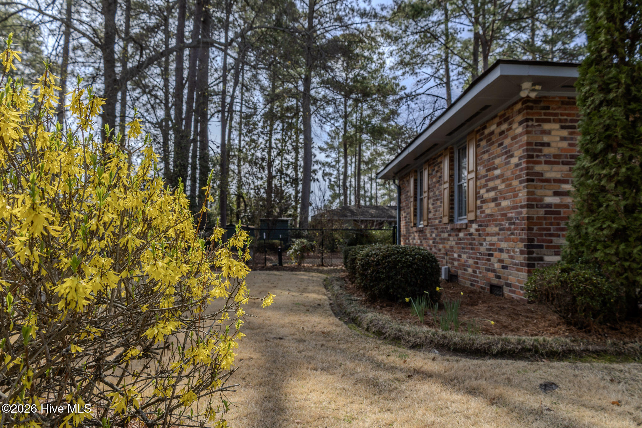 100561146 | Photo 21