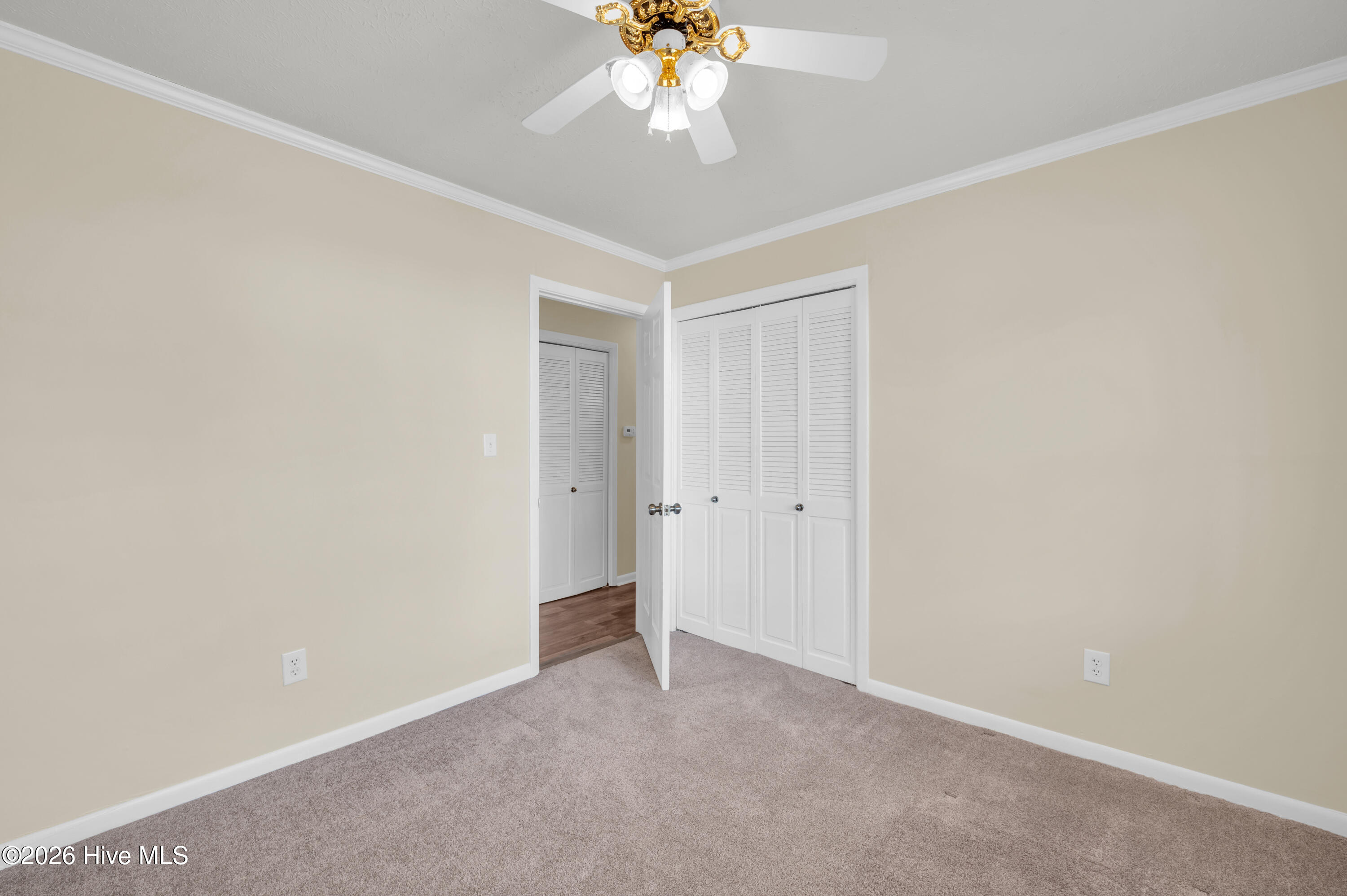 100547625 | Photo 25