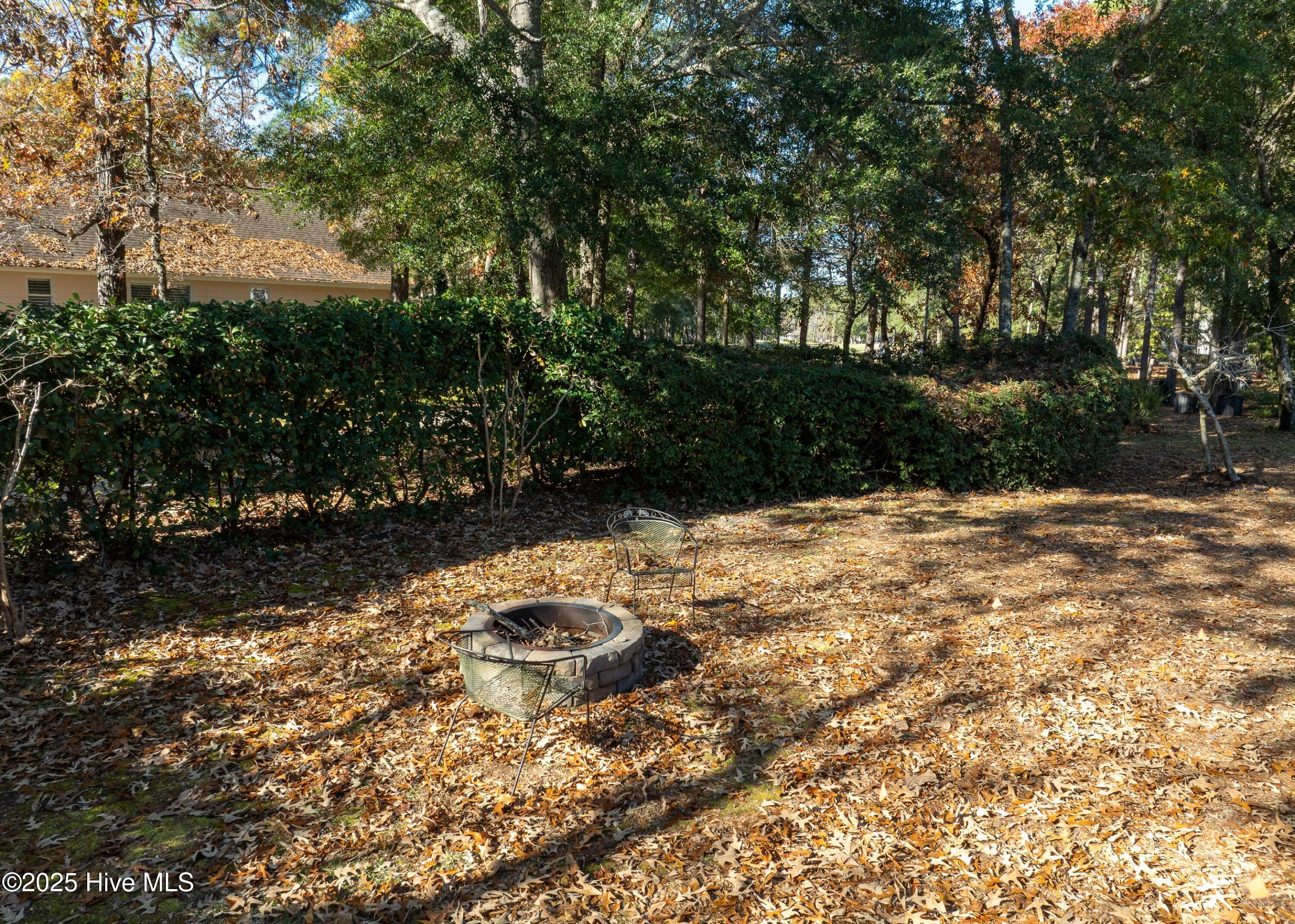 100543941 | Photo 62