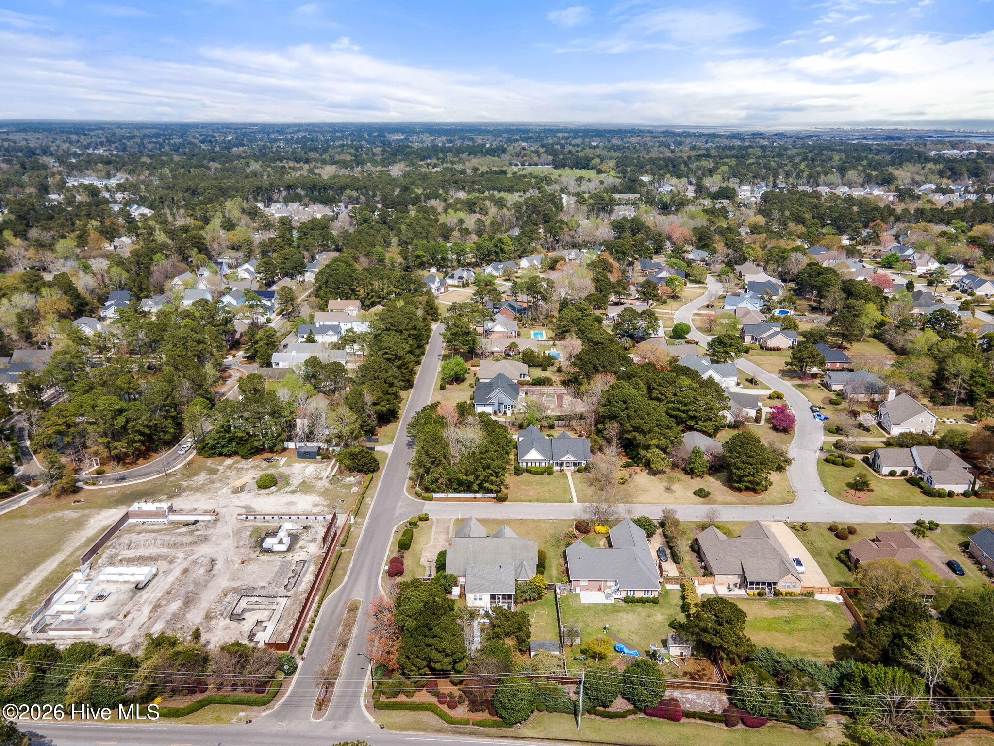 100561515 | Photo 124