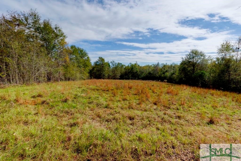 Undisclosed Address, Sylvania, GA, 30467