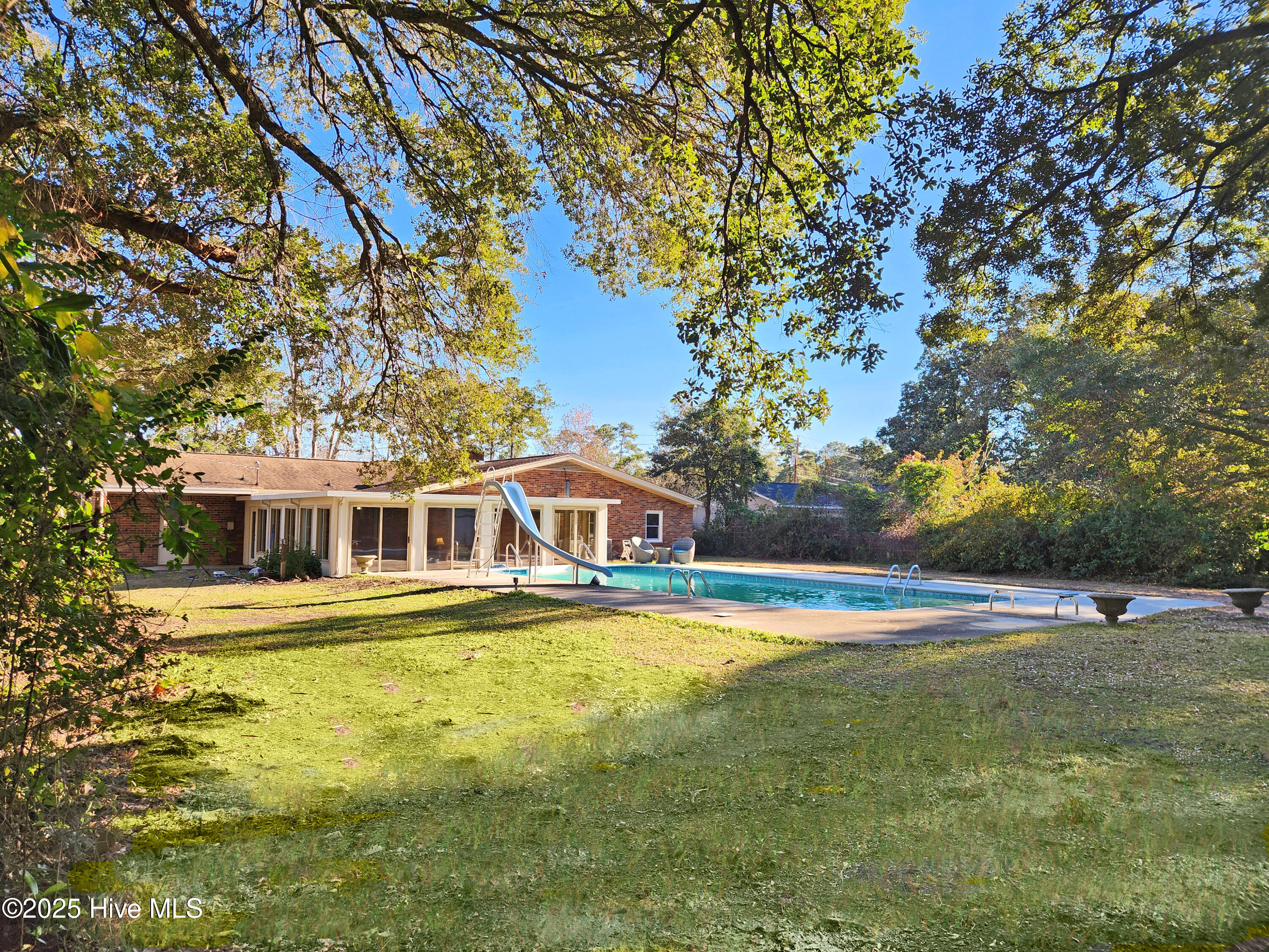 100545586 | Photo 47