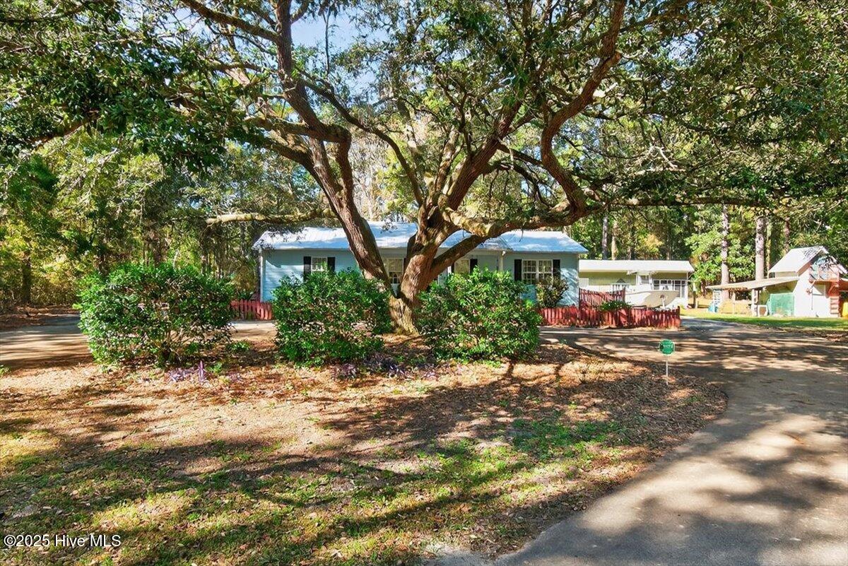 100539192 | Photo 12