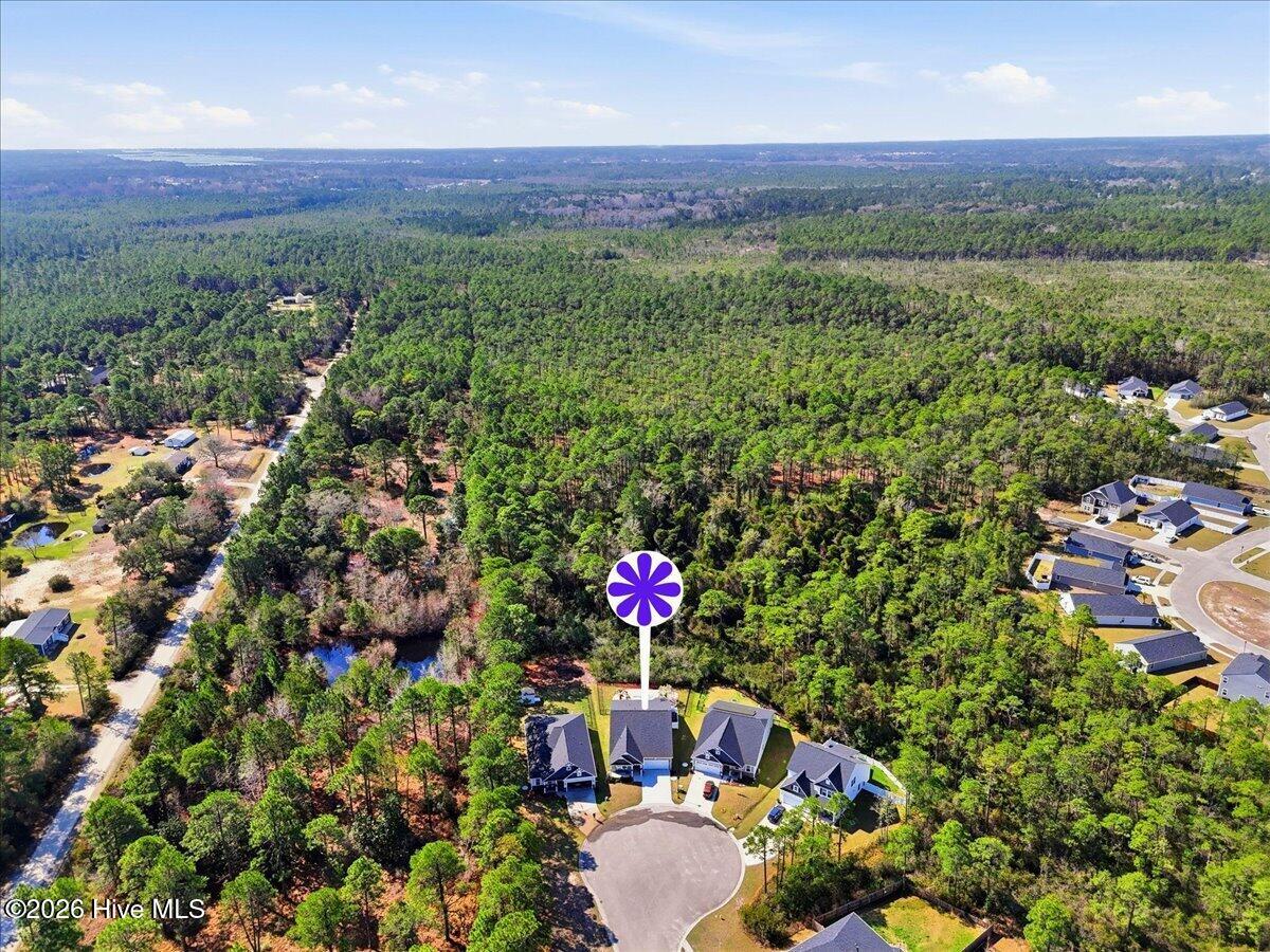 100560173 | Photo 80