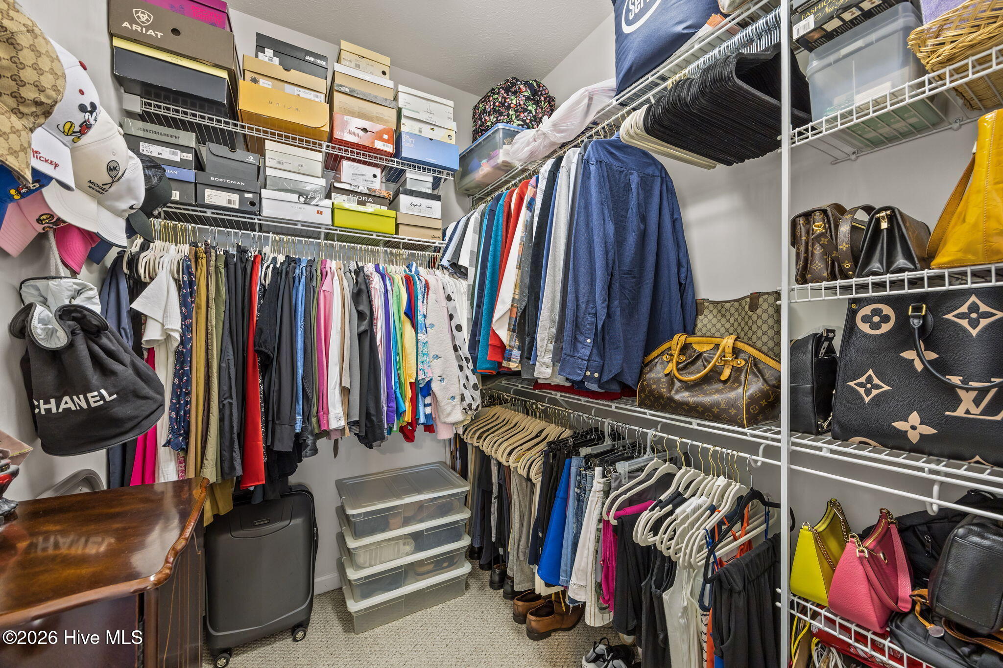 100557483 | Photo 22