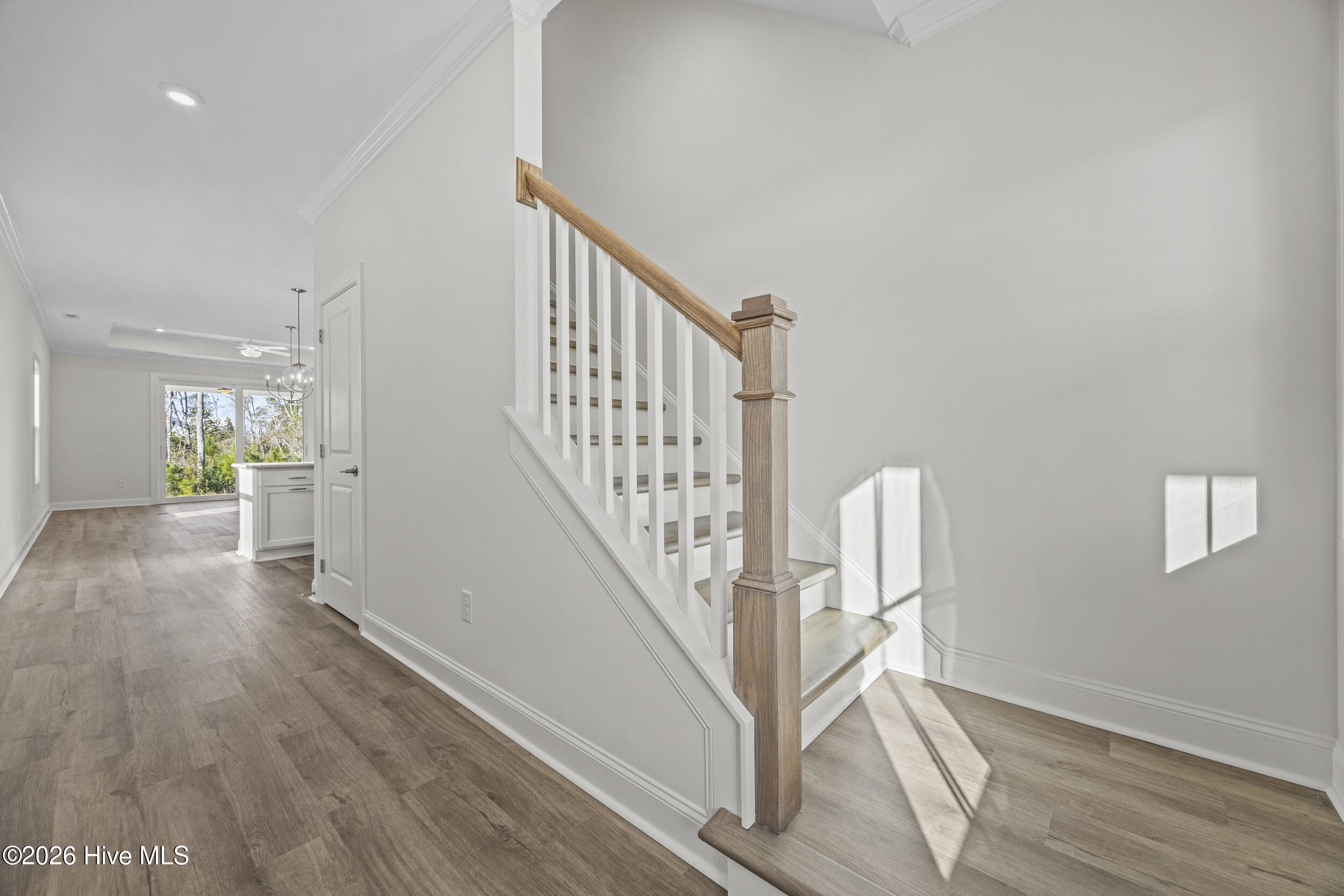 100556976 | Photo 11