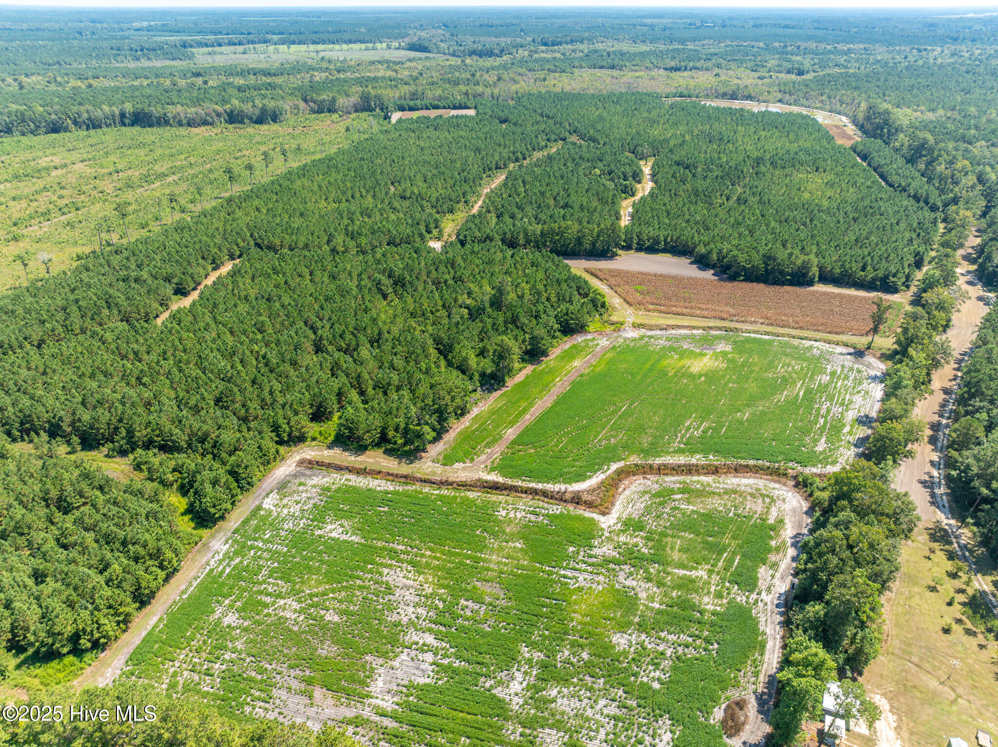 000 Butler Town Road, Clarendon, NC, 28432