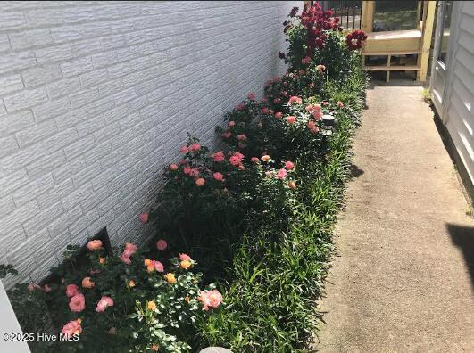 100540087 | Photo 48