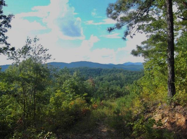 98524277 | Photo 2