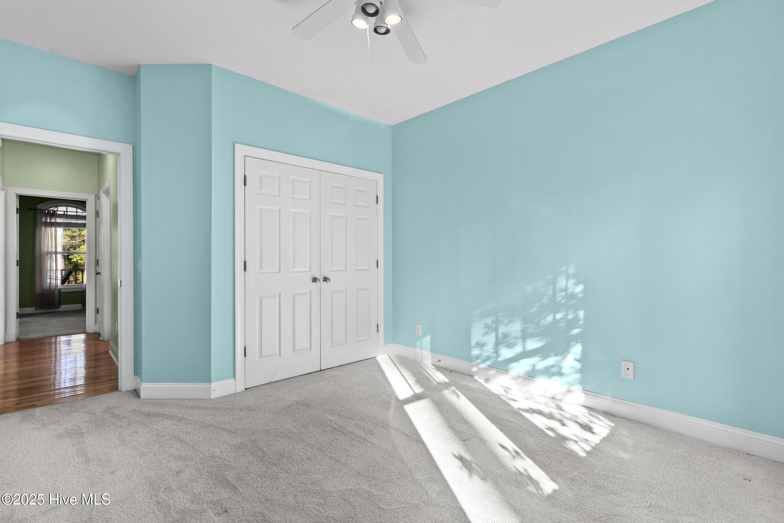 100534384 | Photo 38