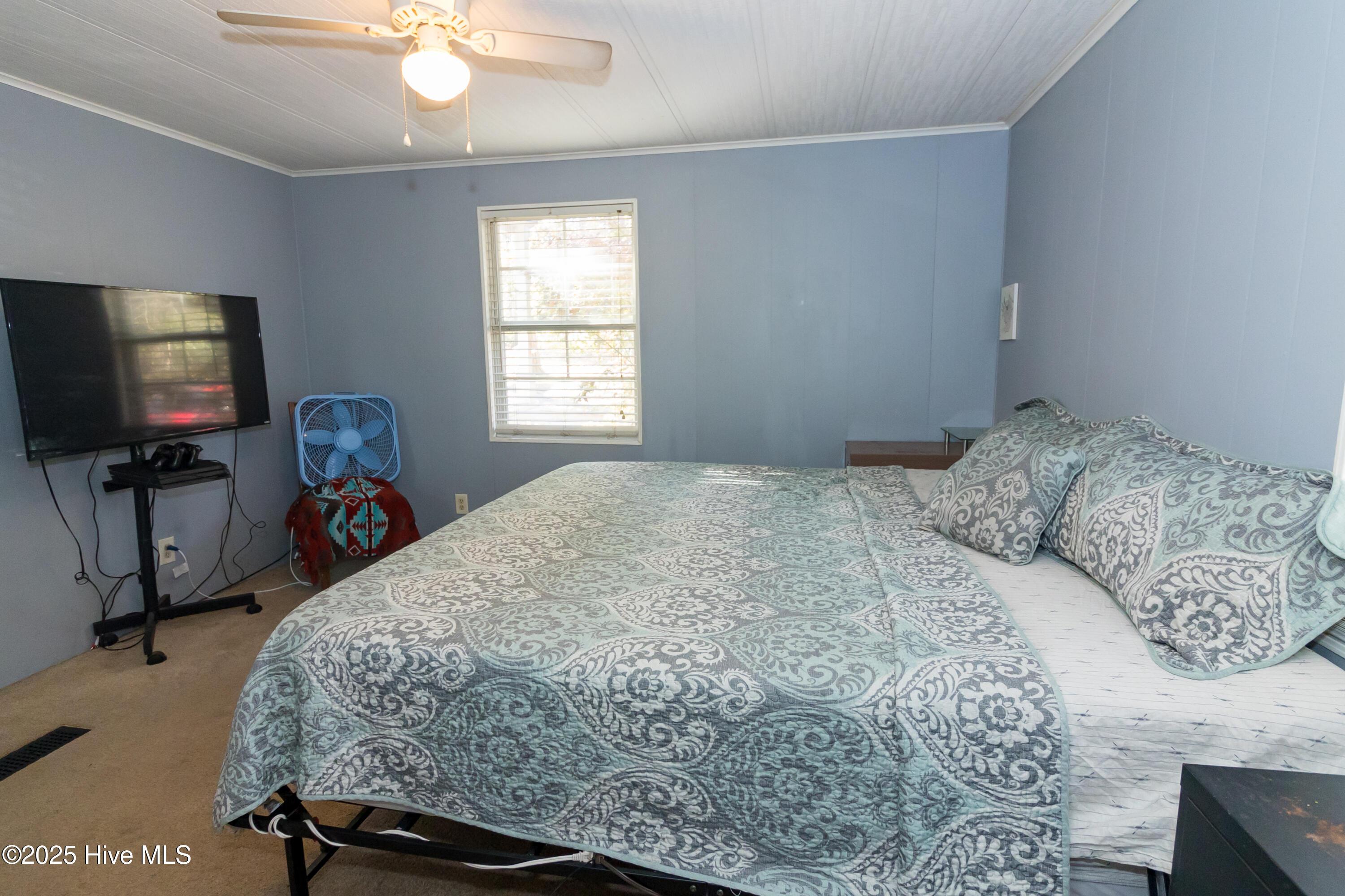 100545695 | Photo 19