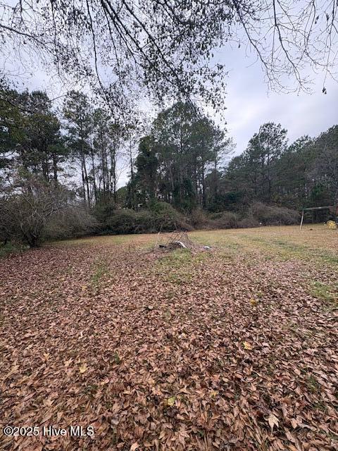 100545423 | Photo 11