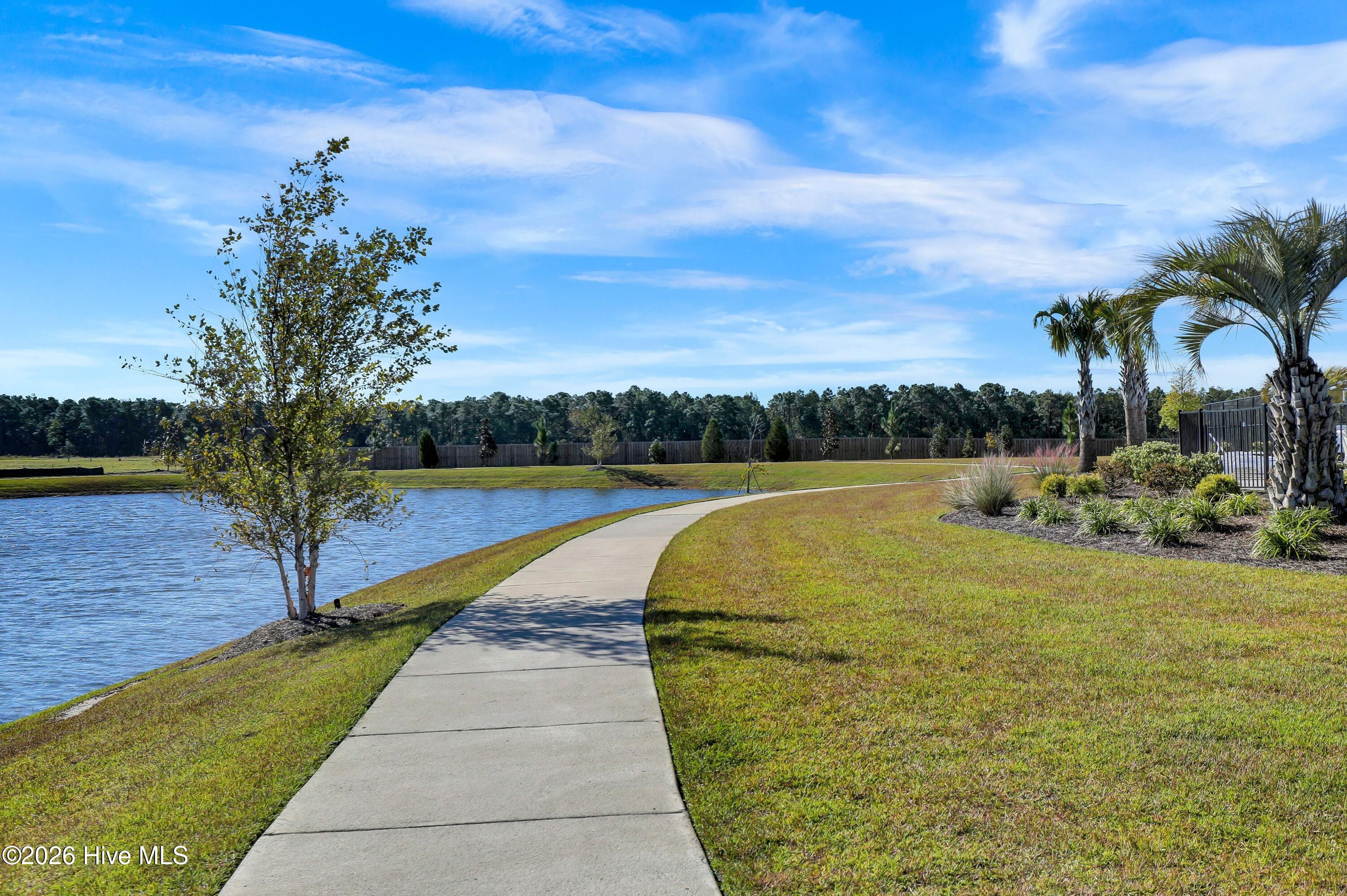 100558236 | Photo 64