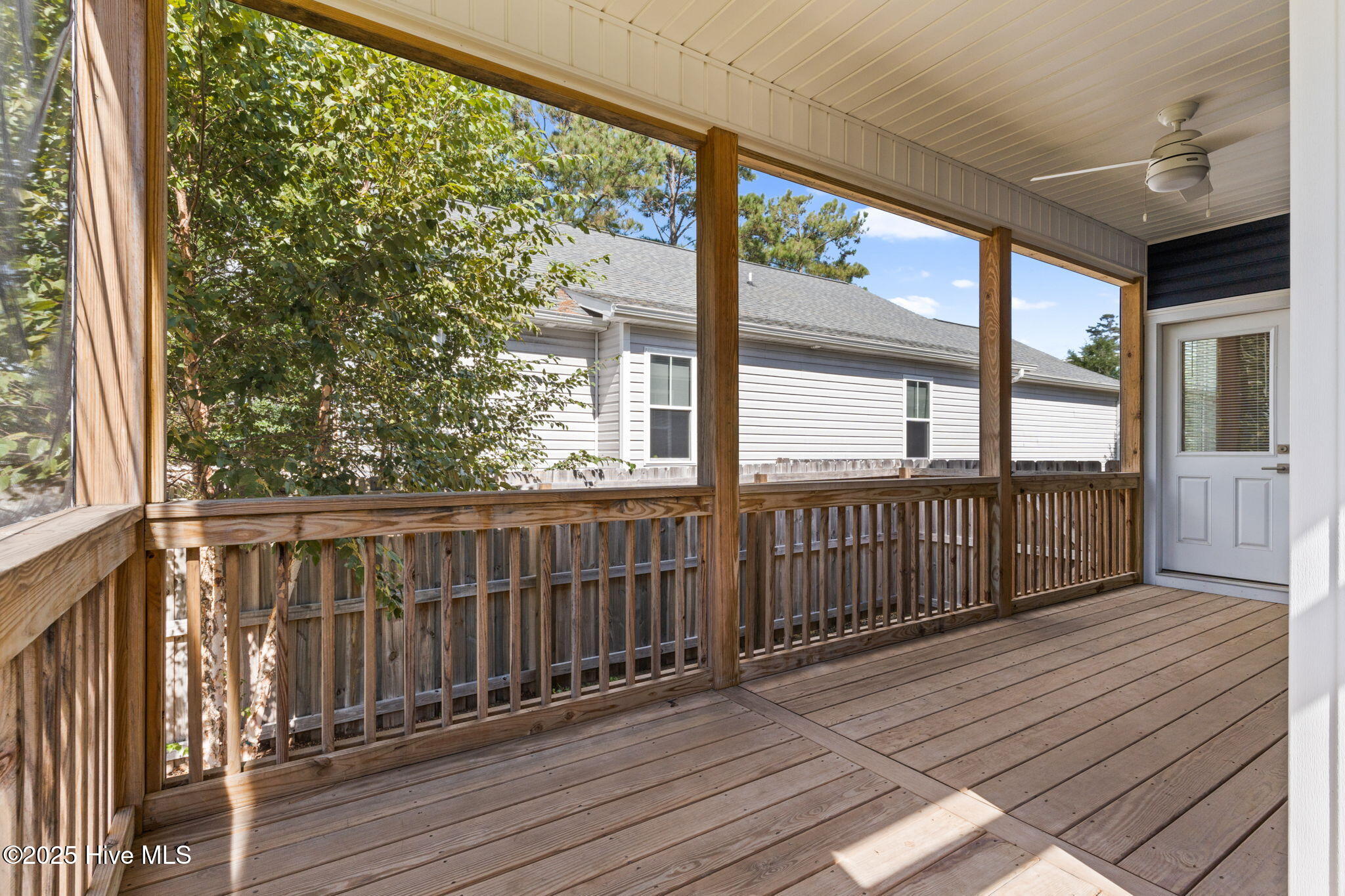 100535167 | Photo 31