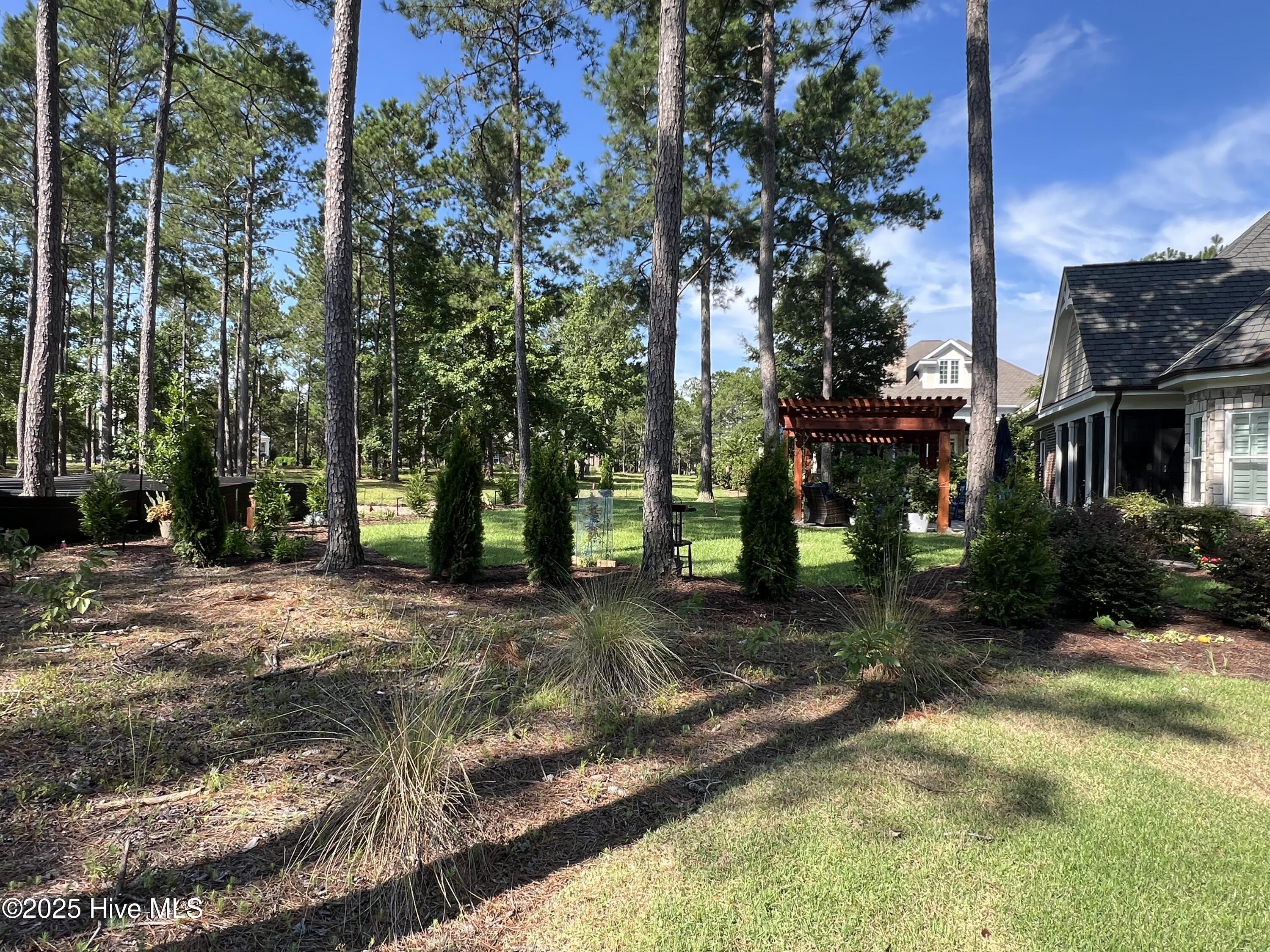 100518368 | Photo 98