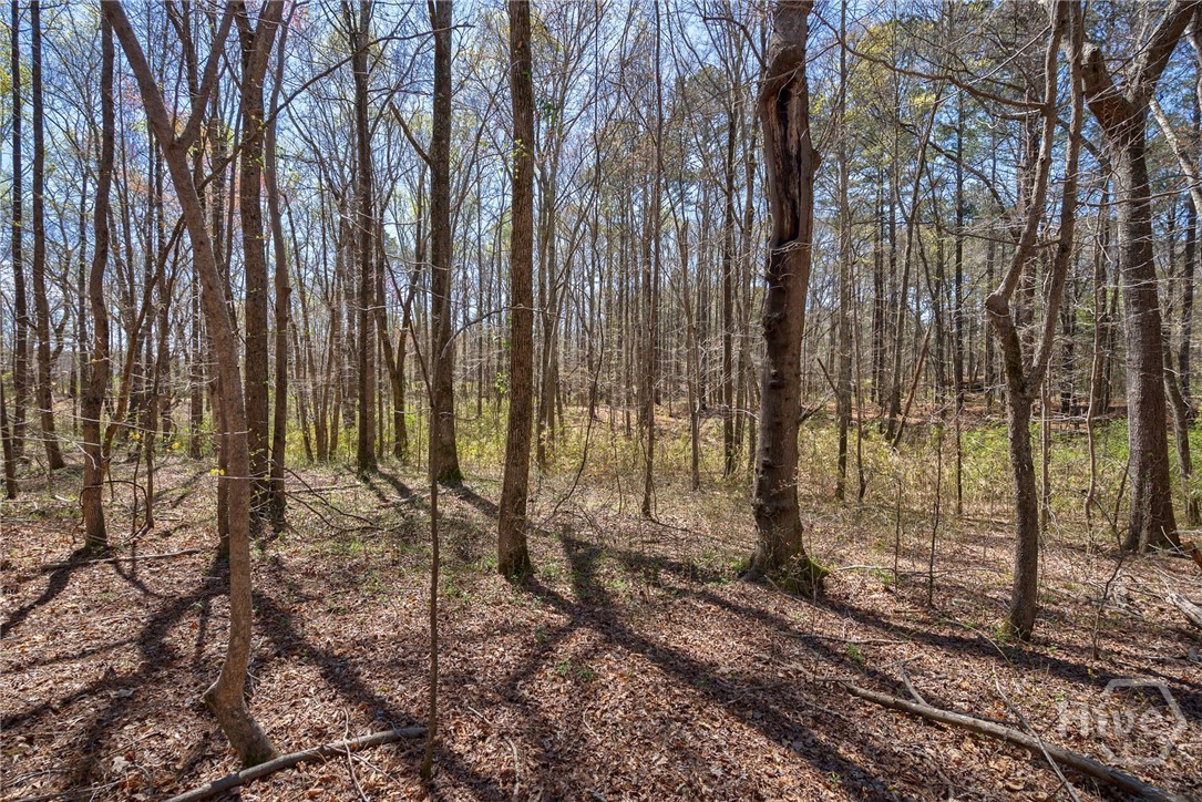 0 Poplar Street, Monroe, GA, 30655