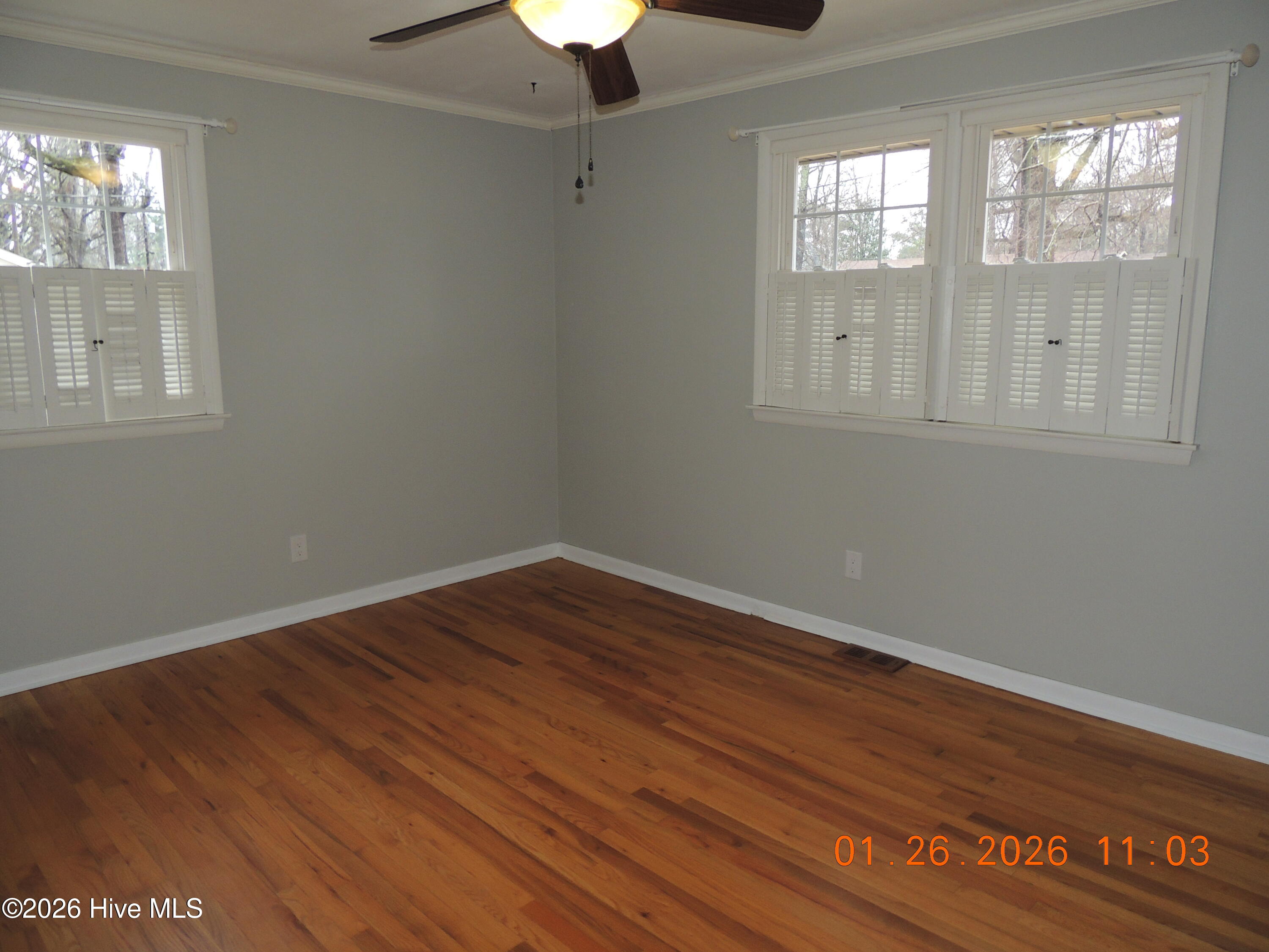 100551473 | Photo 24