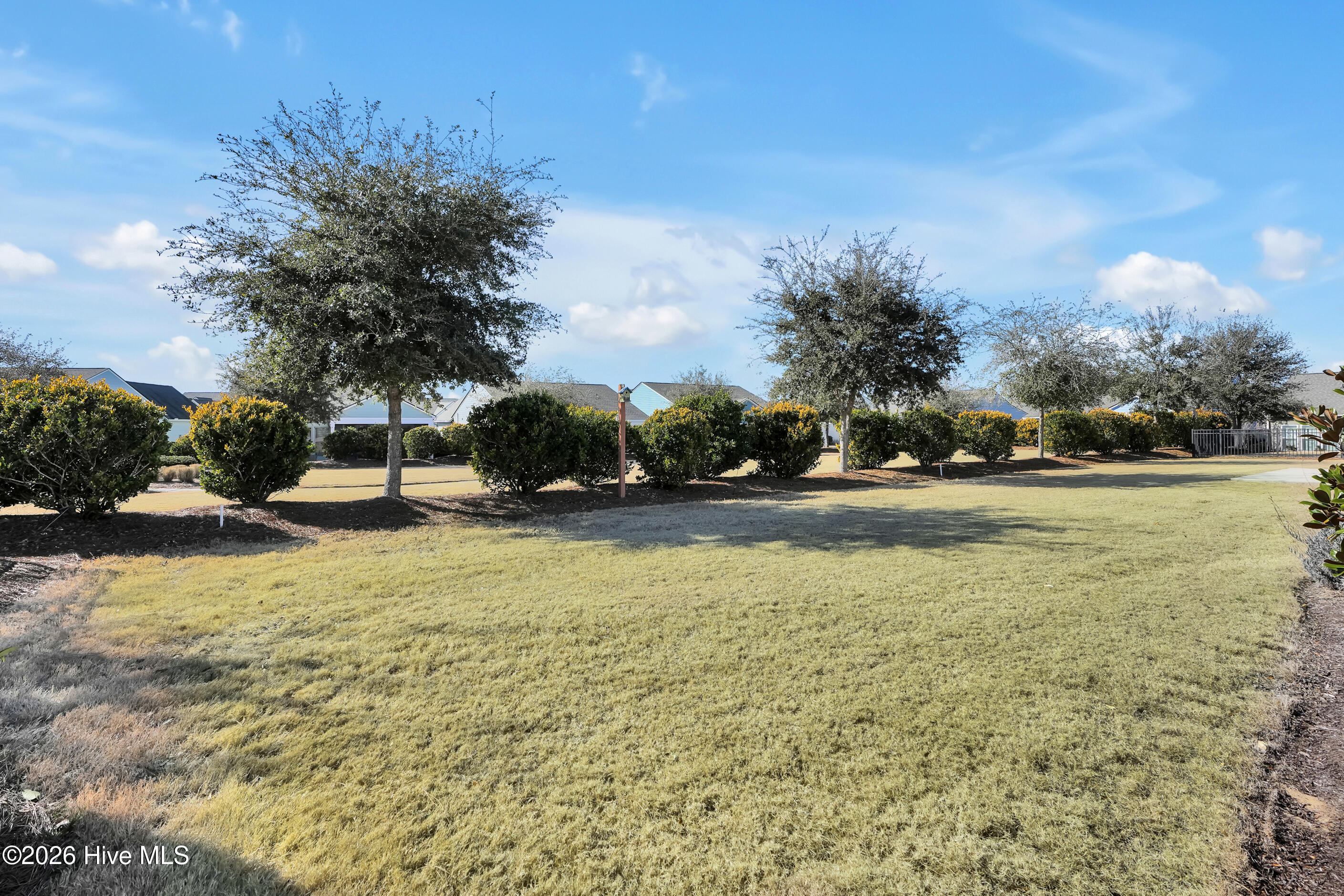 100555746 | Photo 34