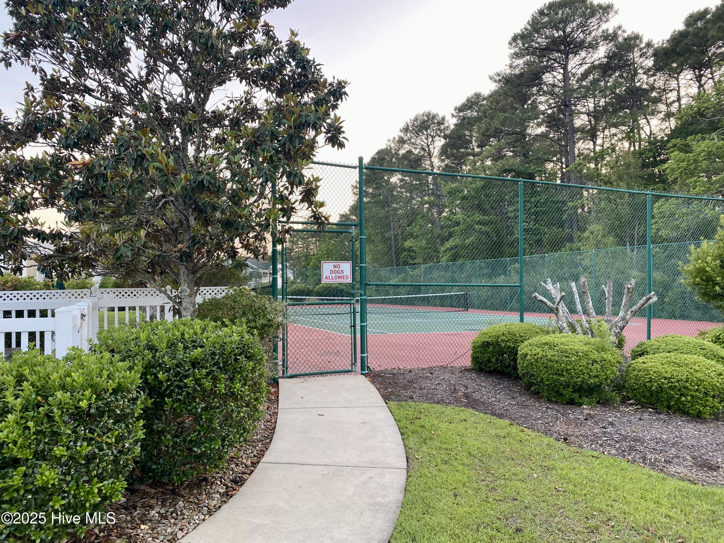 100551288 | Photo 38