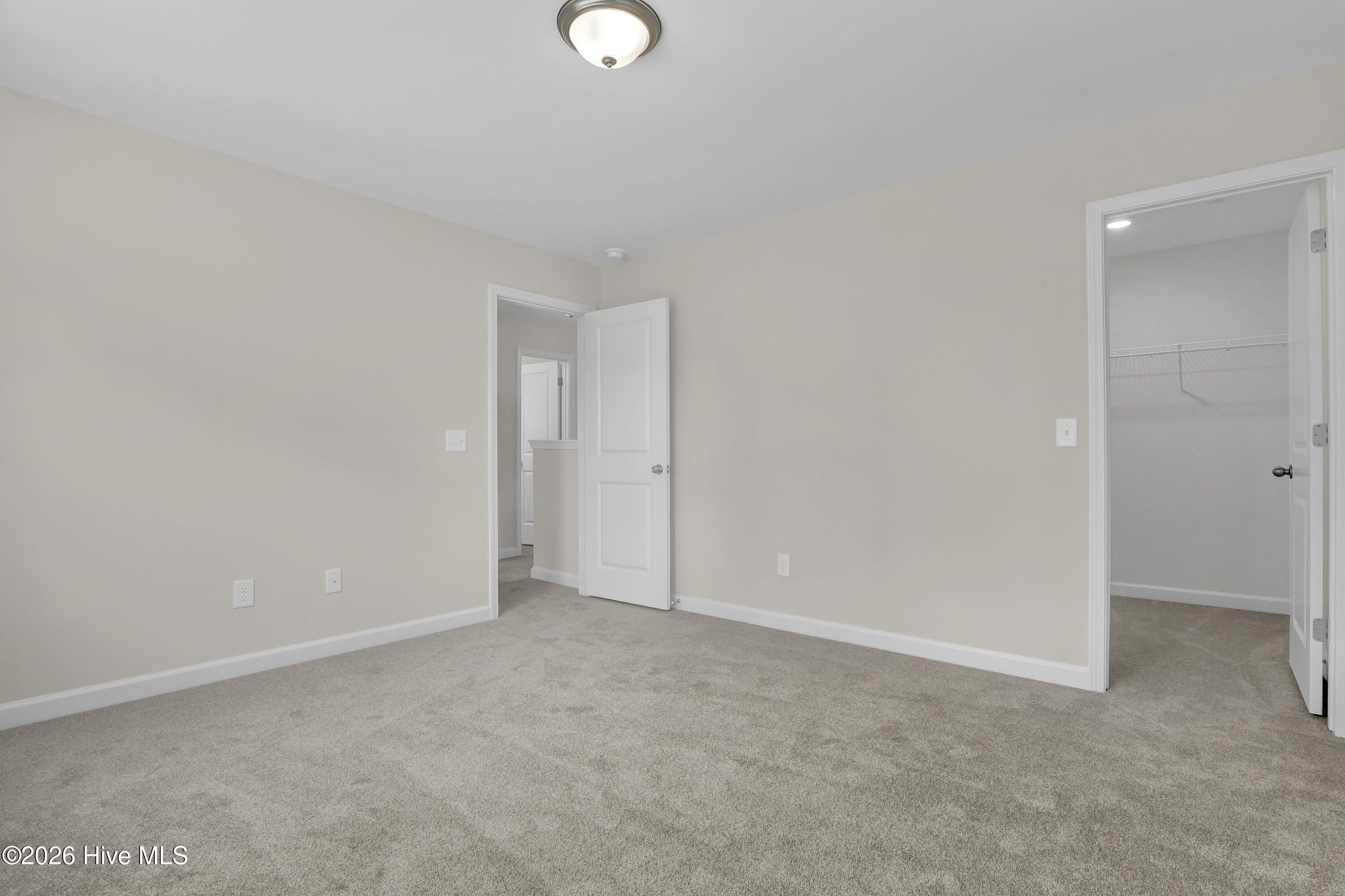 100488784 | Photo 21