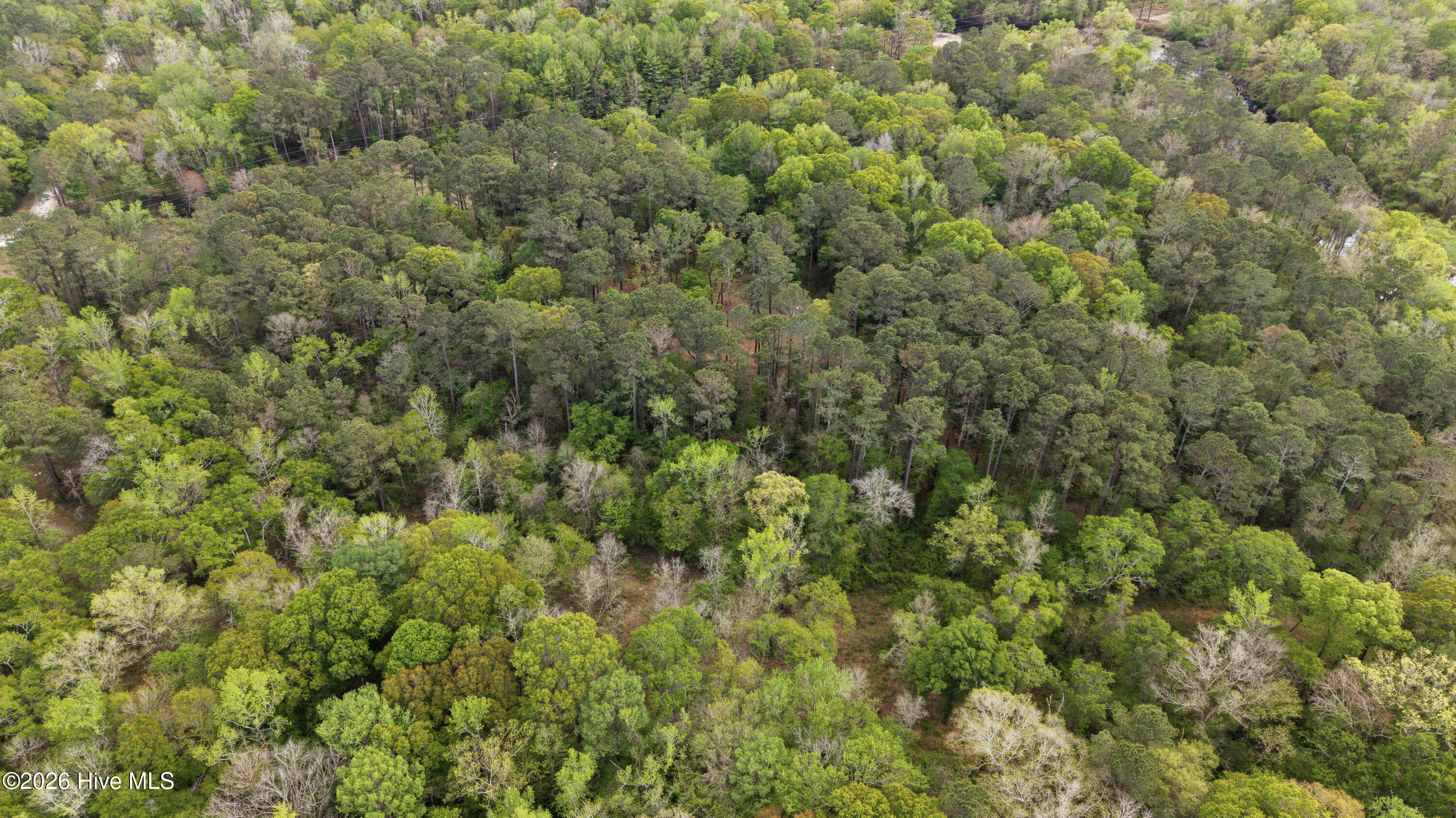 18-DJI_20260403151300_0074_D