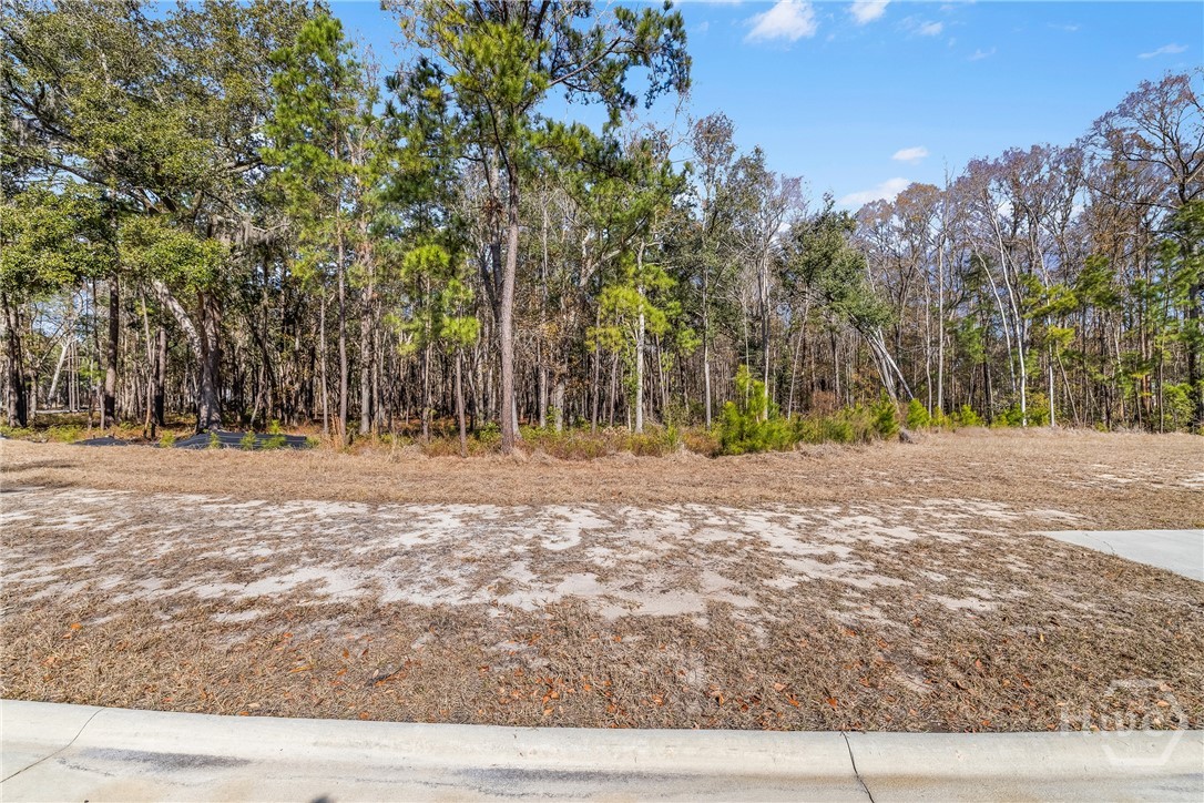 Homes for sale in Pooler, GA | 154 Wood Haven Ln, Pooler, GA 31322 | MLS# SA350599