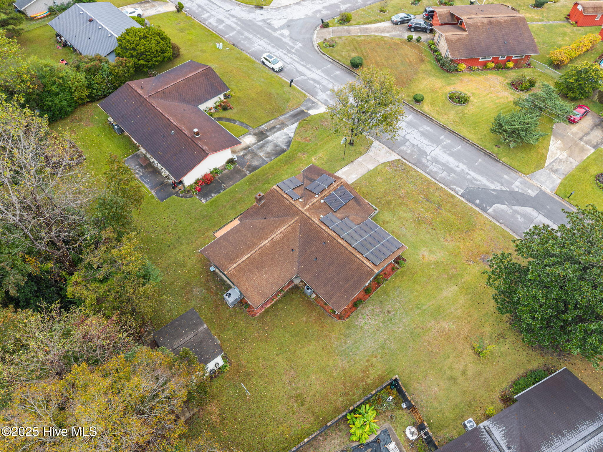 100538869 | Photo 40